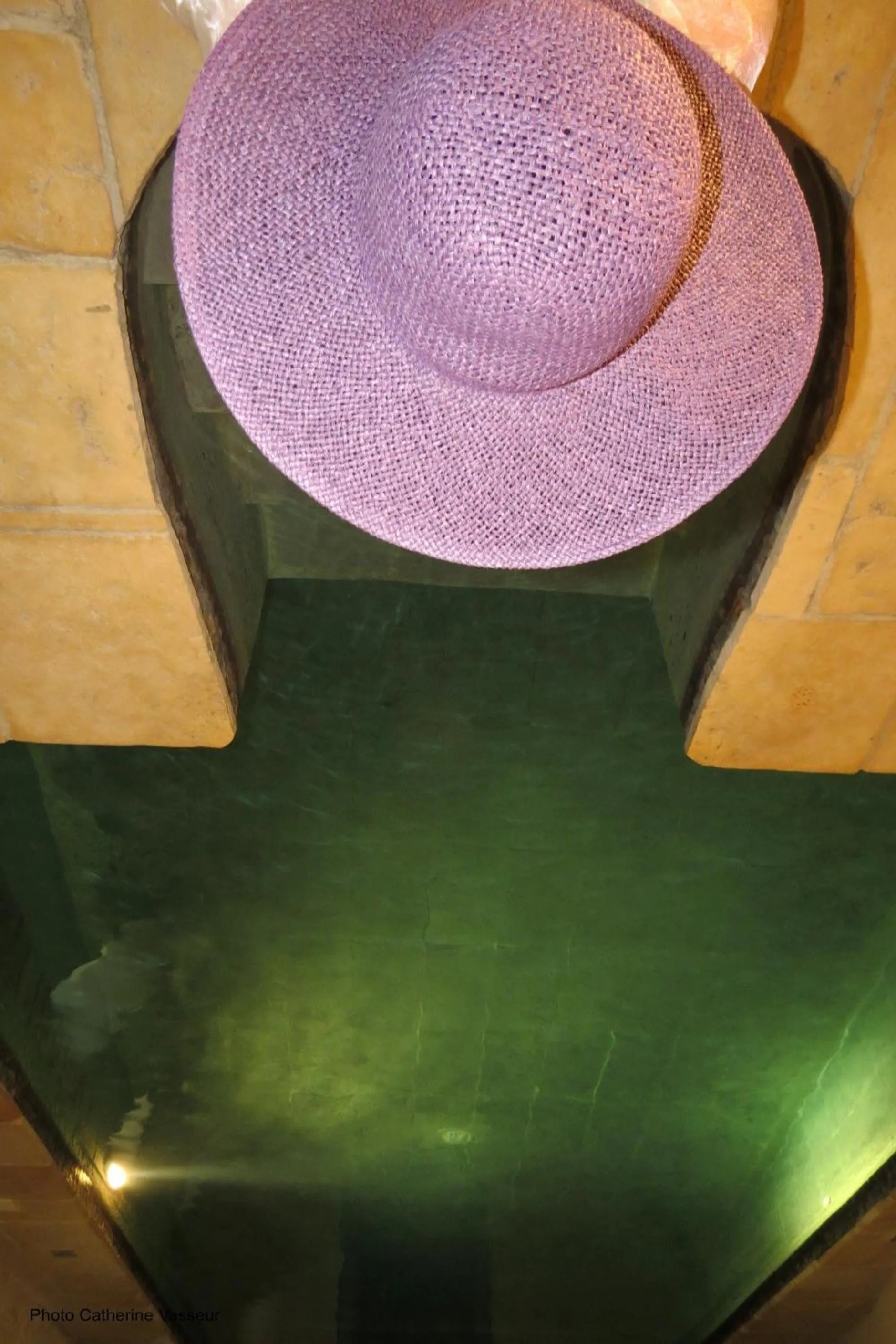 Spa and wellness centre/facilities in Demeure de Digoine "Chambre d'Hotes"