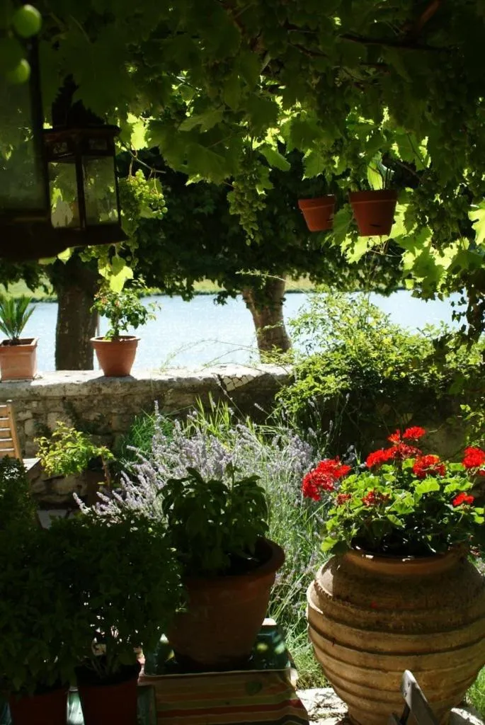 Garden in Demeure de Digoine "Chambre d'Hotes"