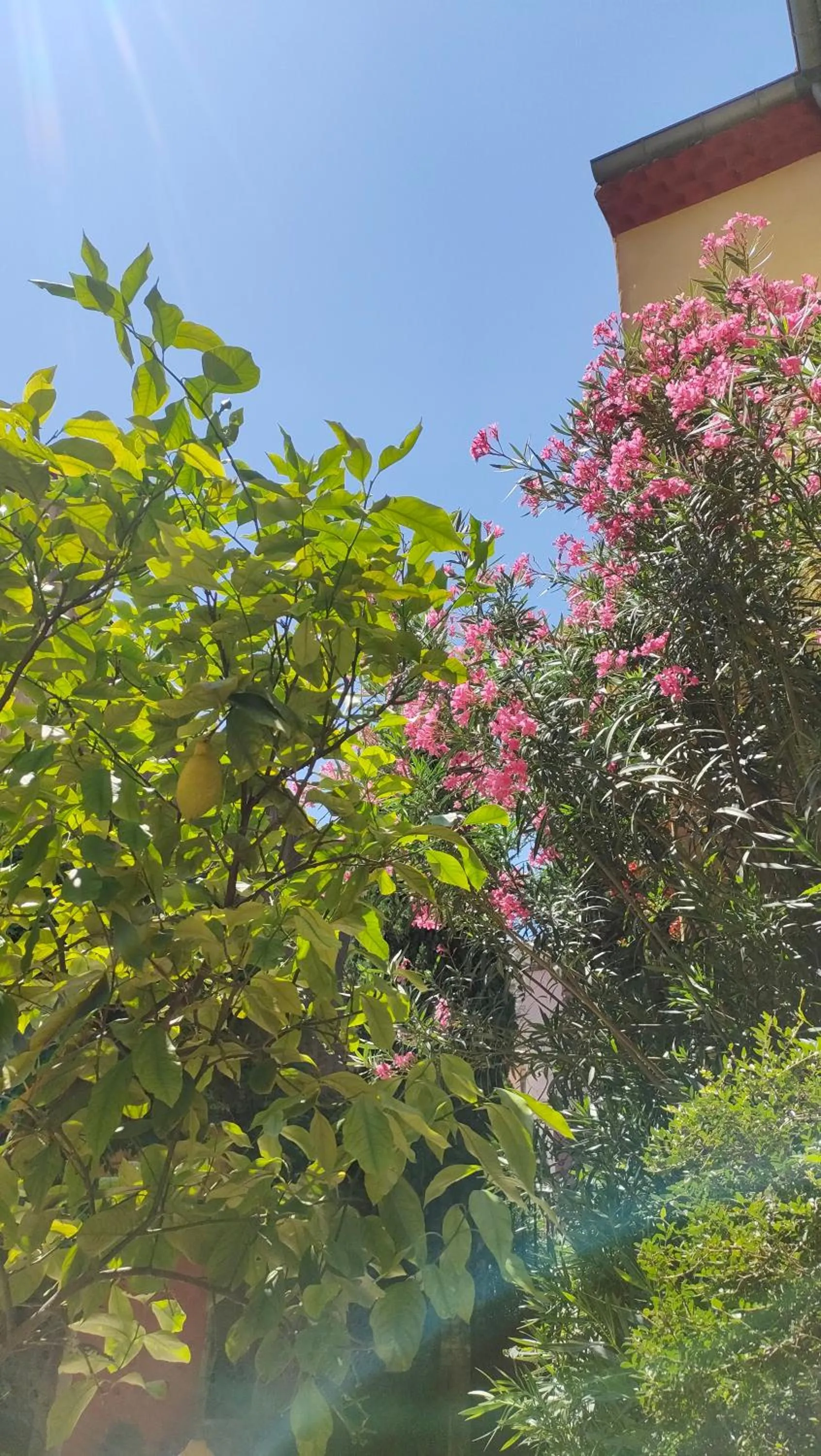 Demeure de Digoine "Chambre d'Hotes"