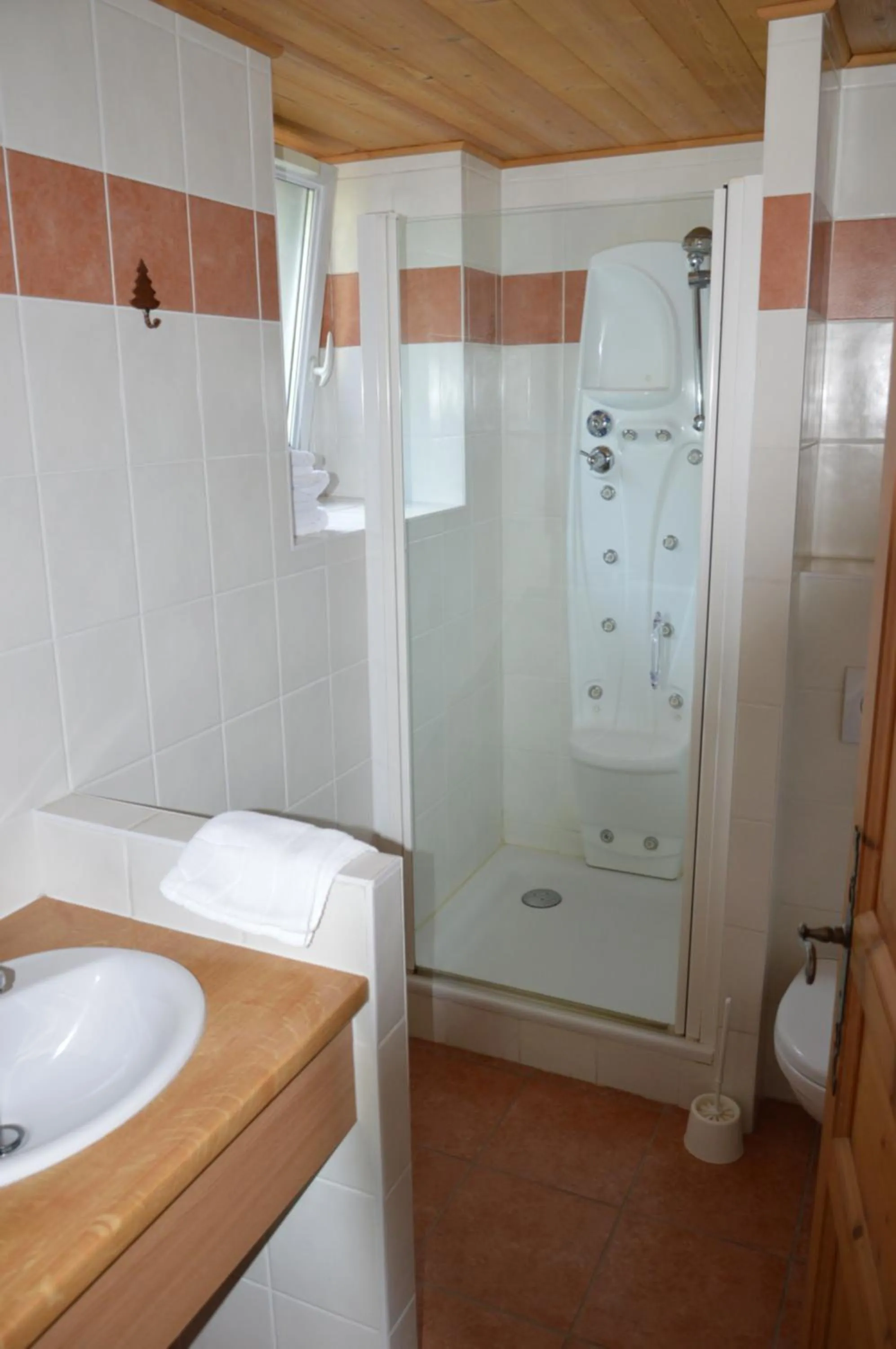 Shower in Le Relais Du Mont Blanc