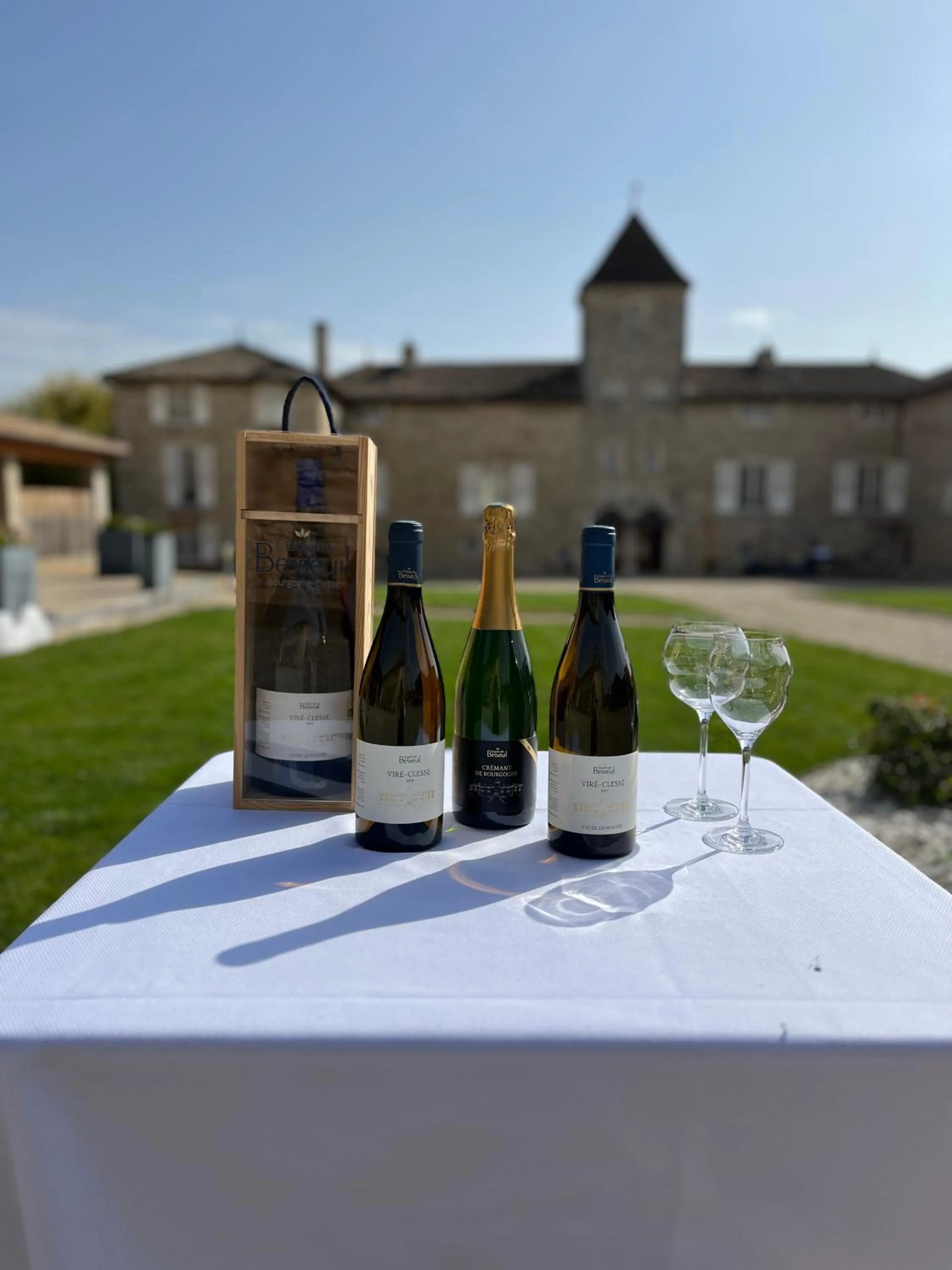 Property building in Hôtel-Restaurant le Château de Besseuil, Mâcon Nord - Teritoria