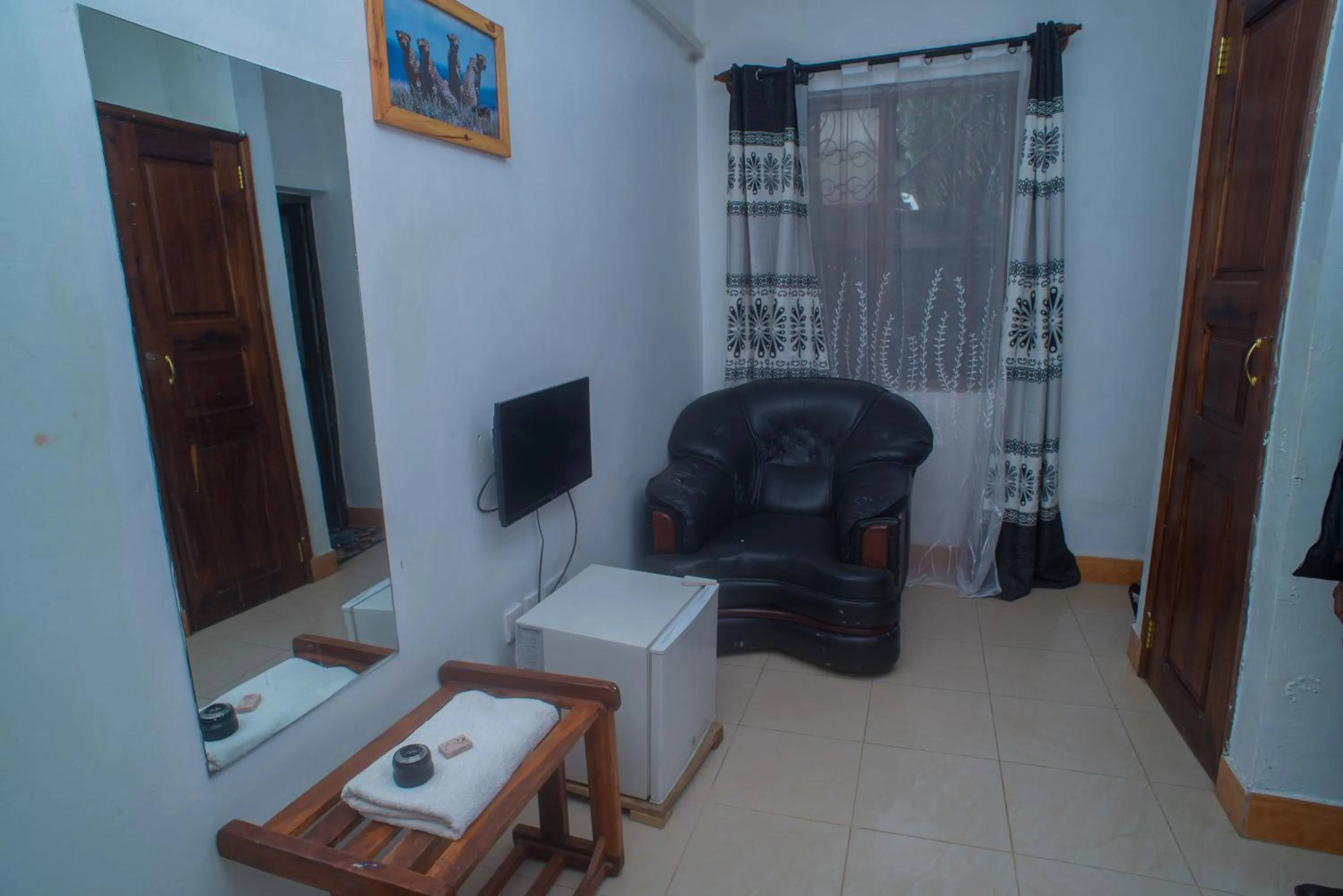 TV and multimedia in Arusha Giraffe Lodge