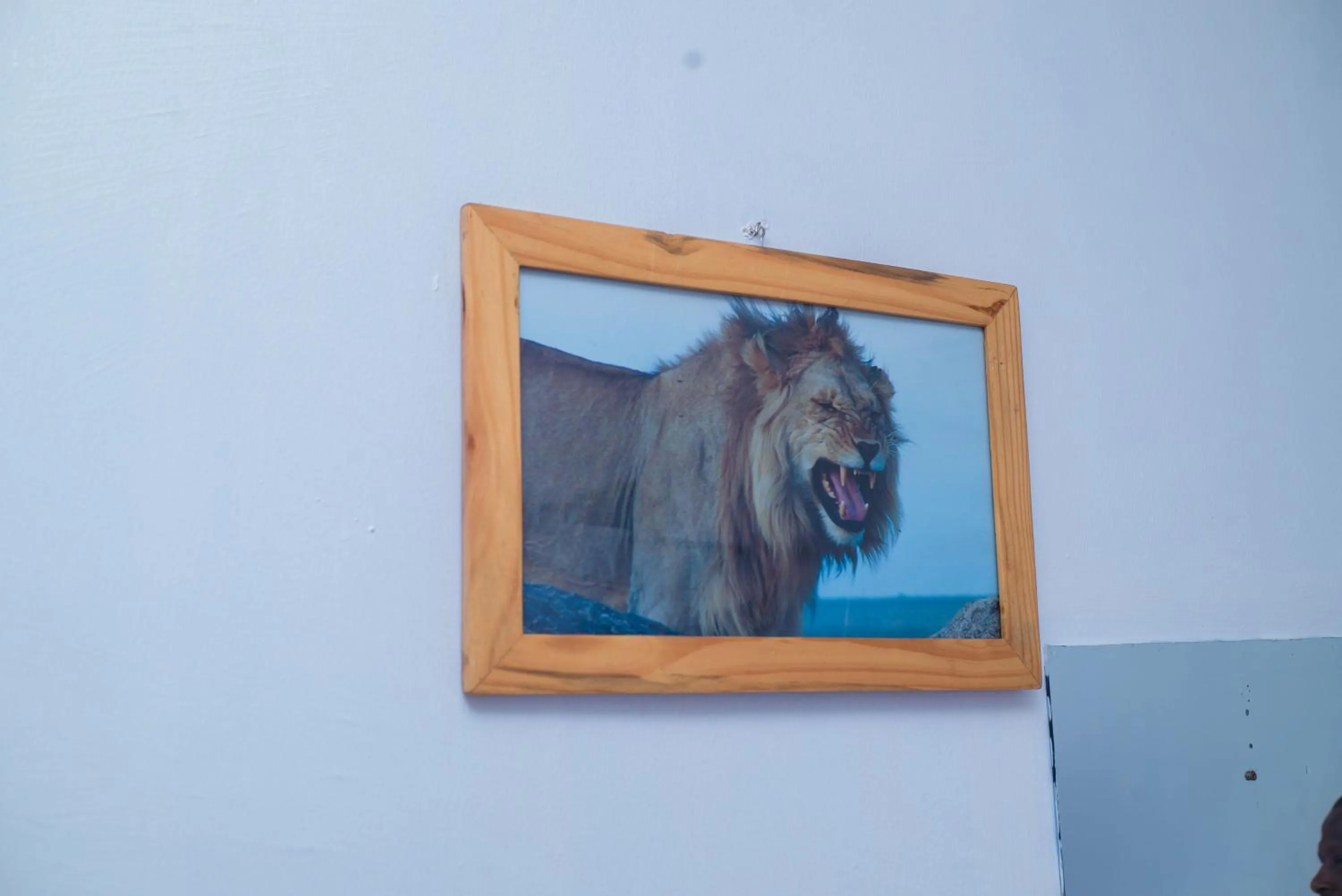 Decorative detail in Arusha Giraffe Lodge