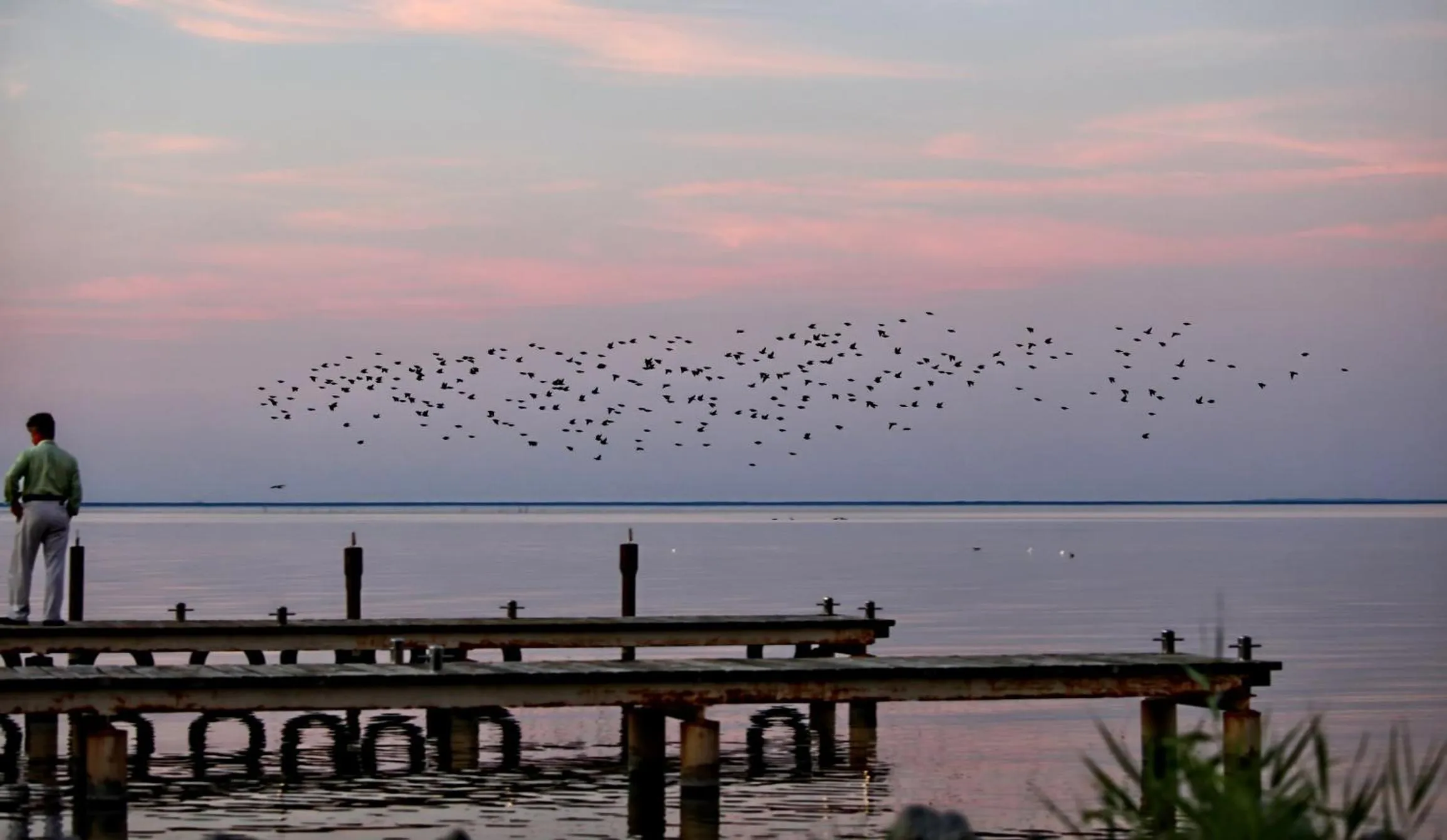 Area and facilities in HAFFHUS - Hotel & Spa