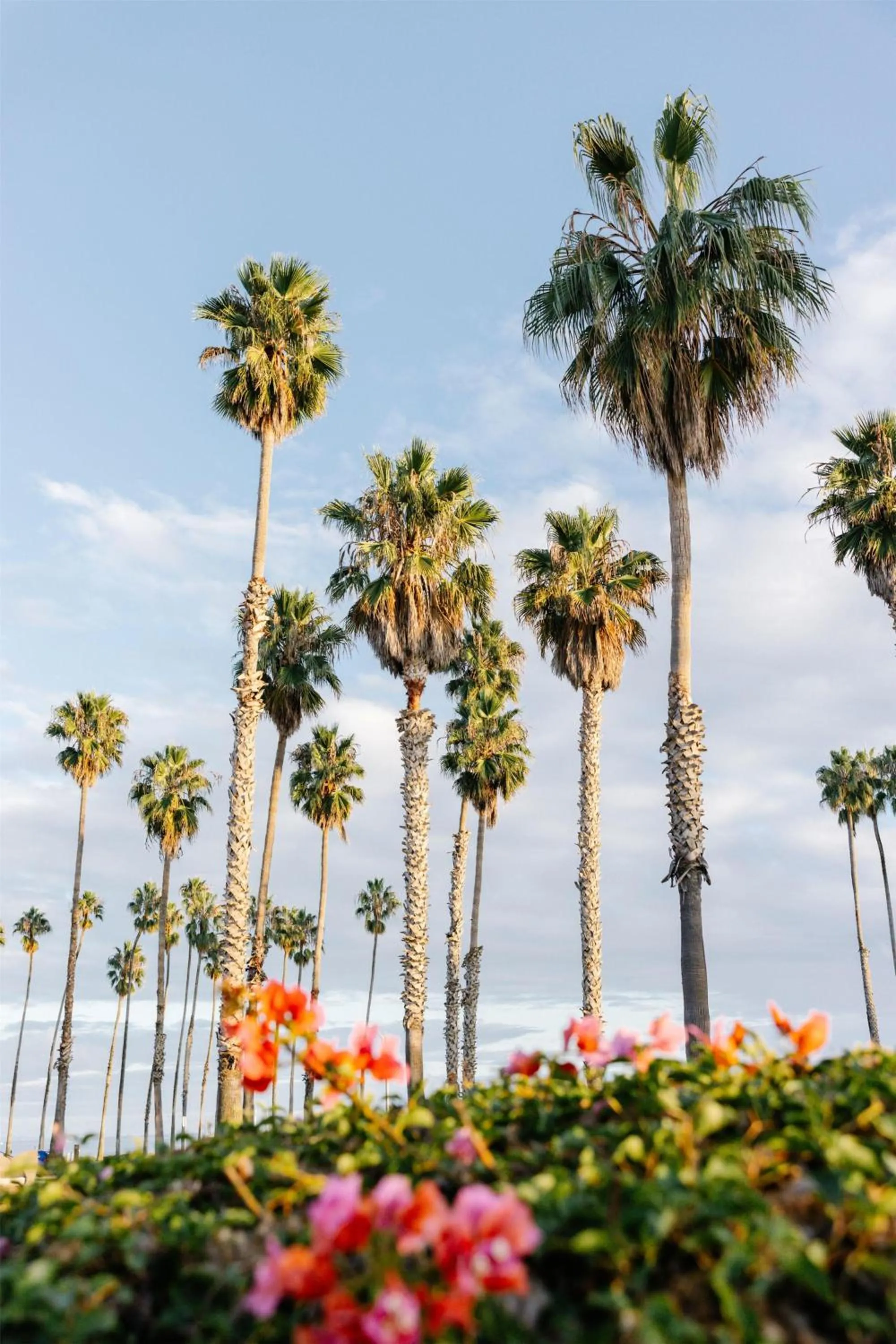 Garden in Casa Marina Key West, Curio Collection by Hilton