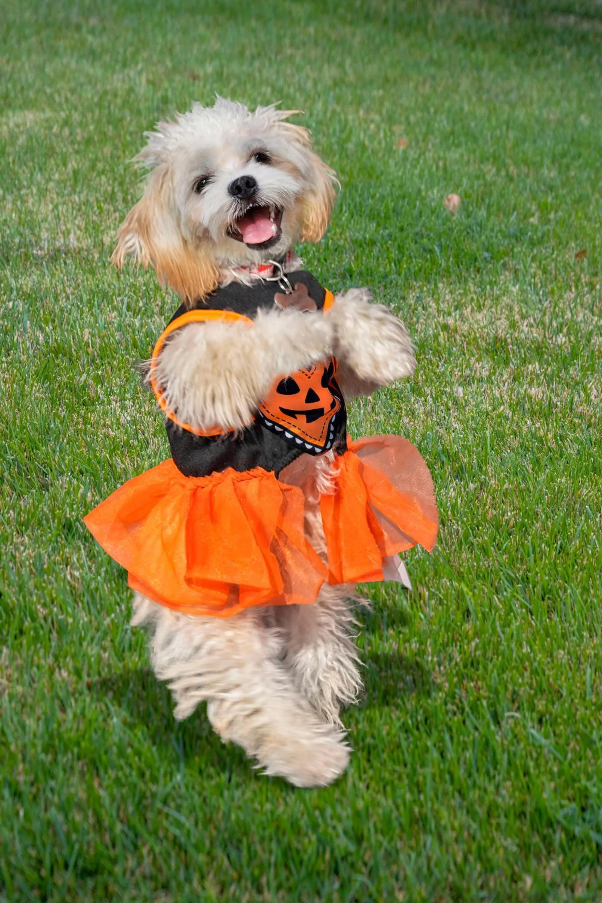 Sports in Hilton San Diego Bayfront