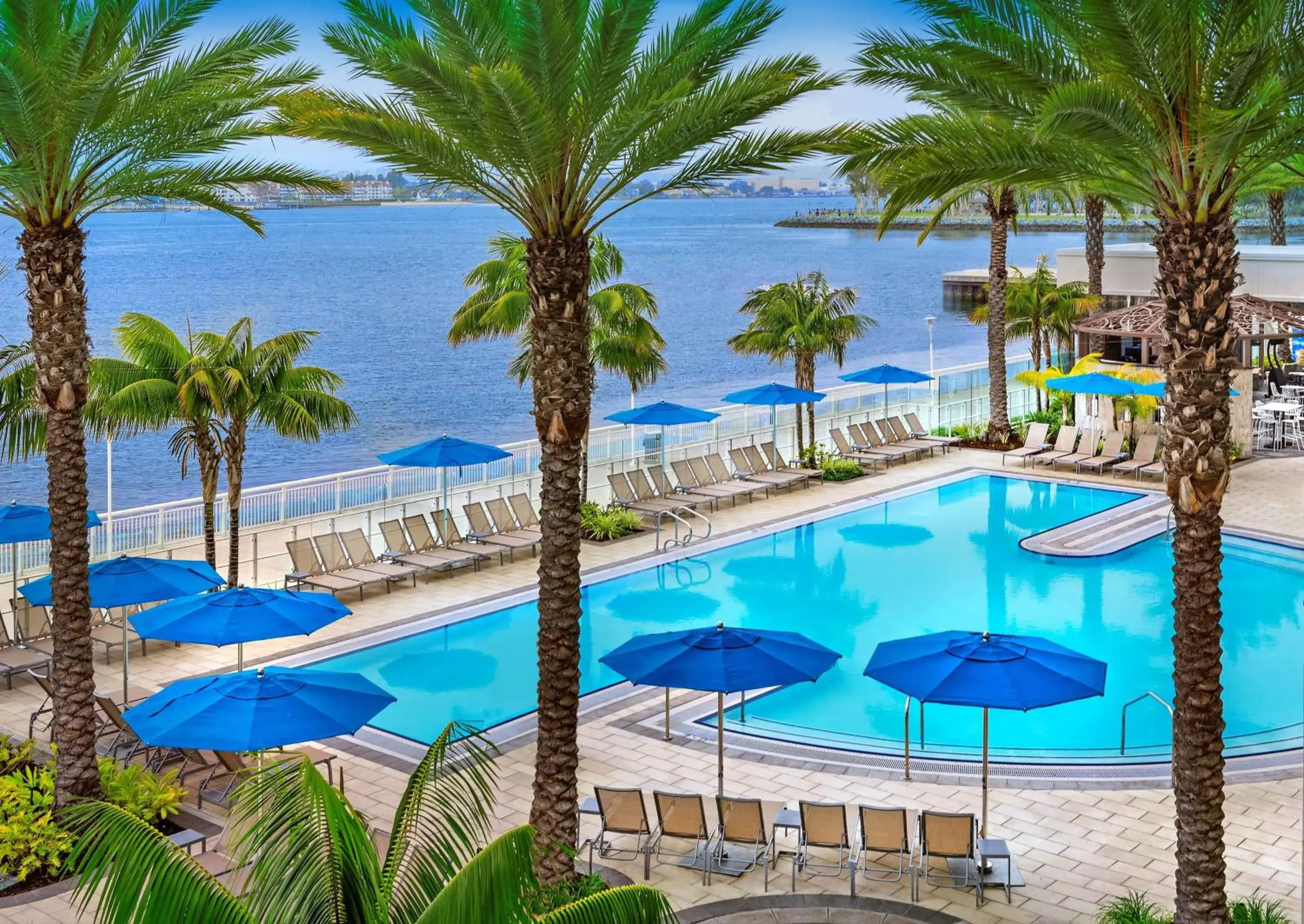 Pool view in Hilton San Diego Bayfront Pool view in Hilton San Diego Bayfront