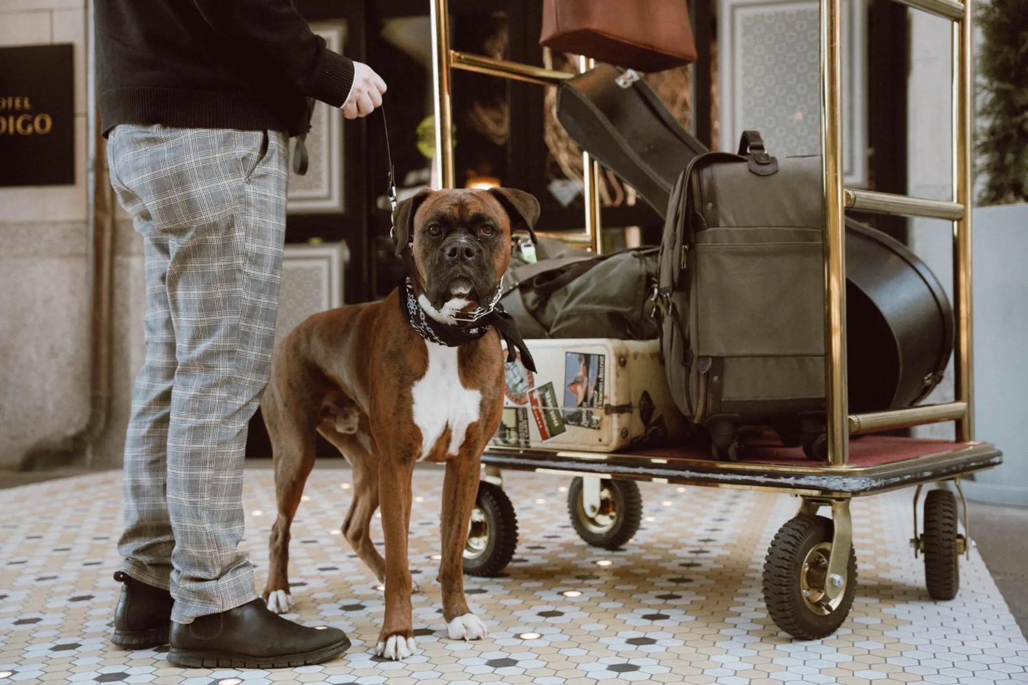Lobby or reception in Hotel Indigo Nashville - The Countrypolitan
