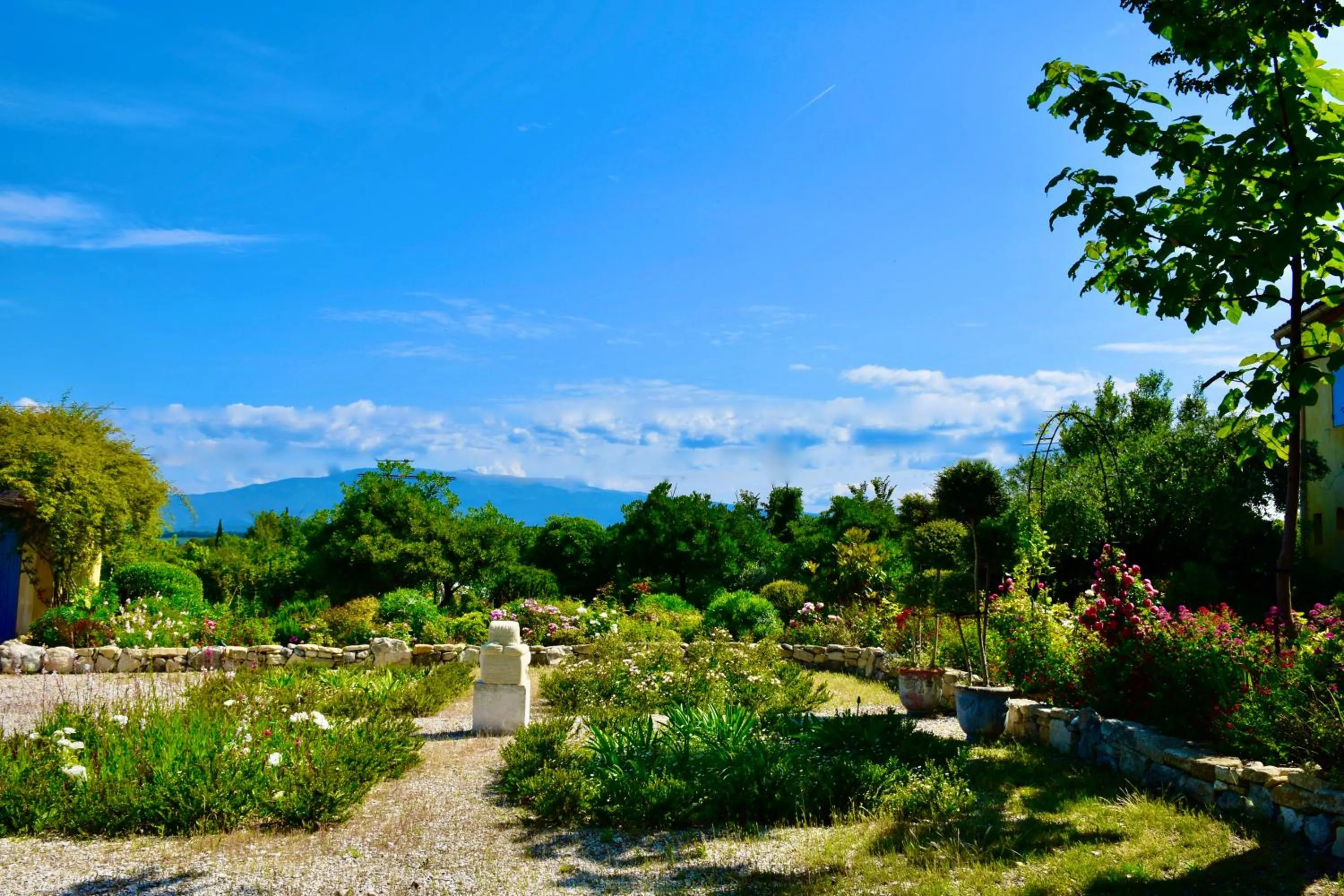 Garden in Bastide Saint-Didier