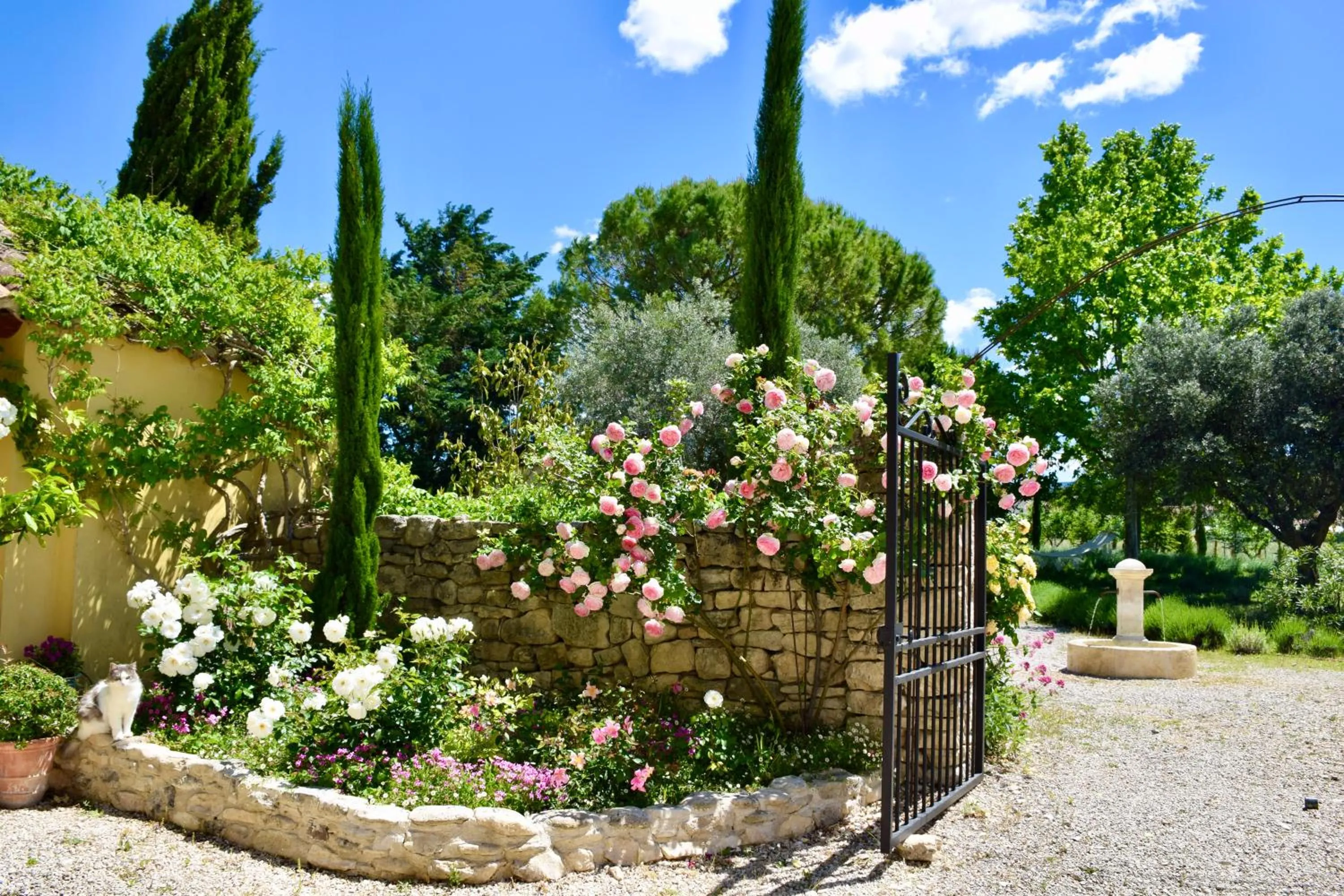 Garden in Bastide Saint-Didier