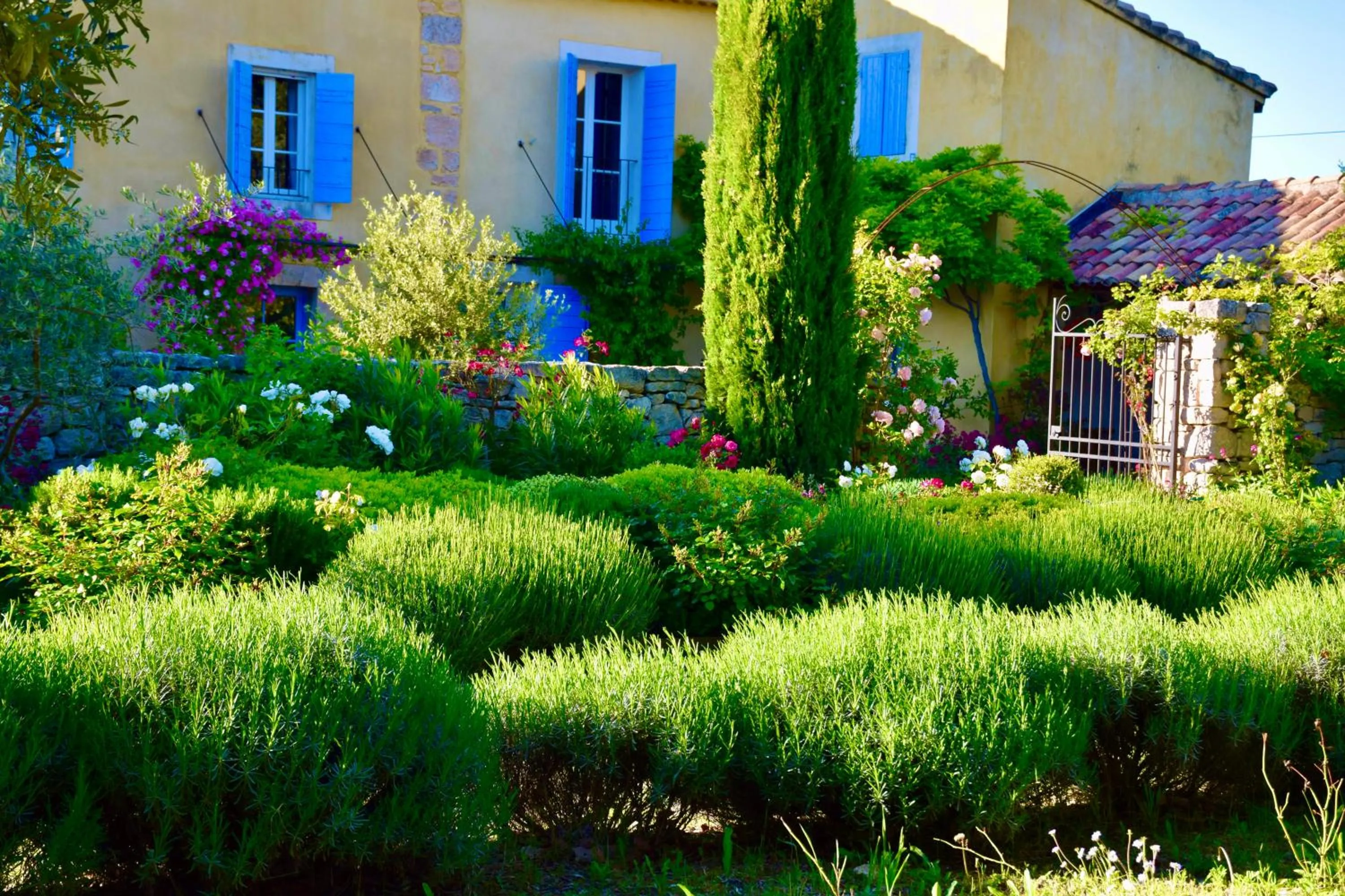 Garden in Bastide Saint-Didier