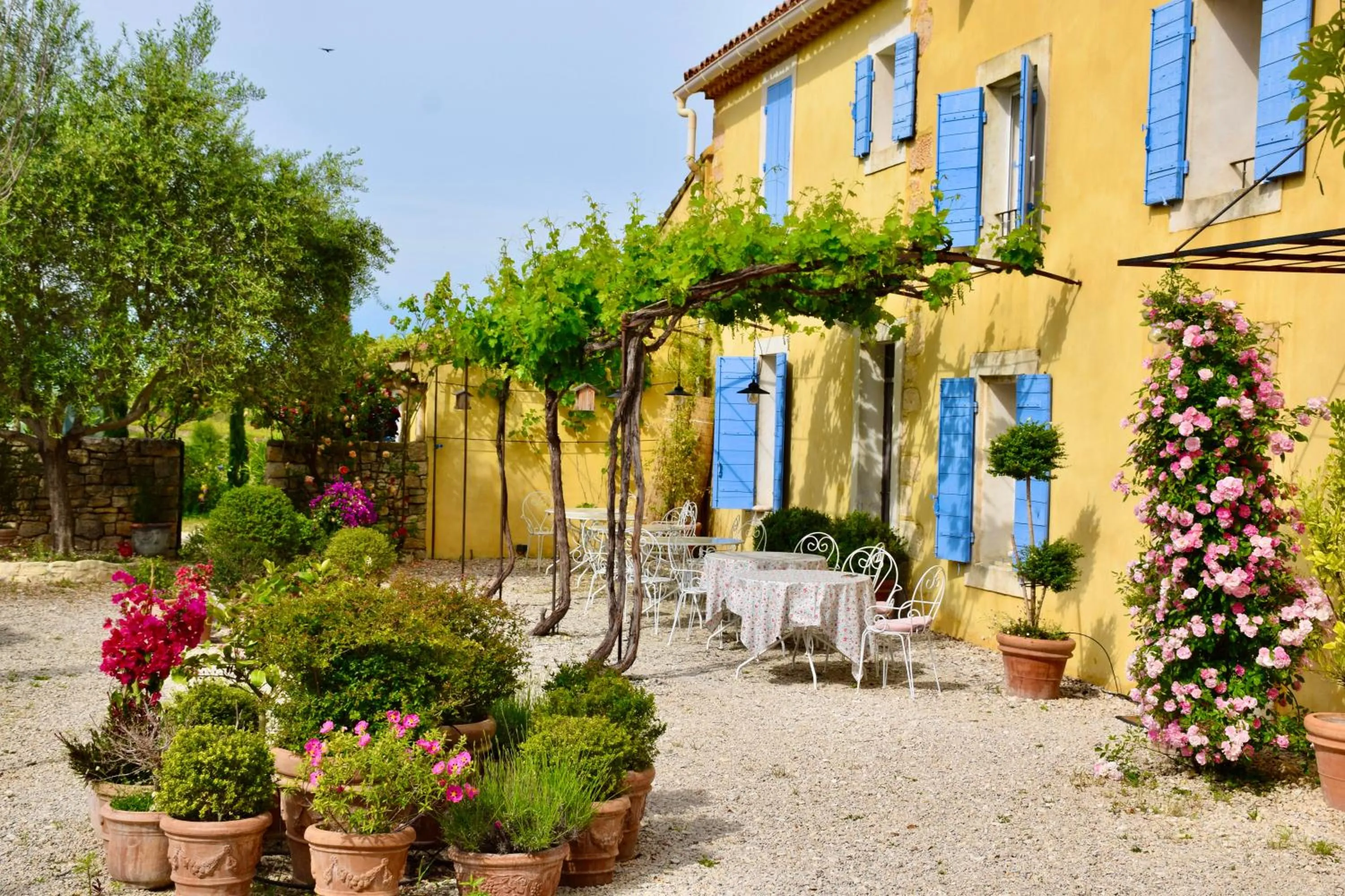 Restaurant/places to eat in Bastide Saint-Didier