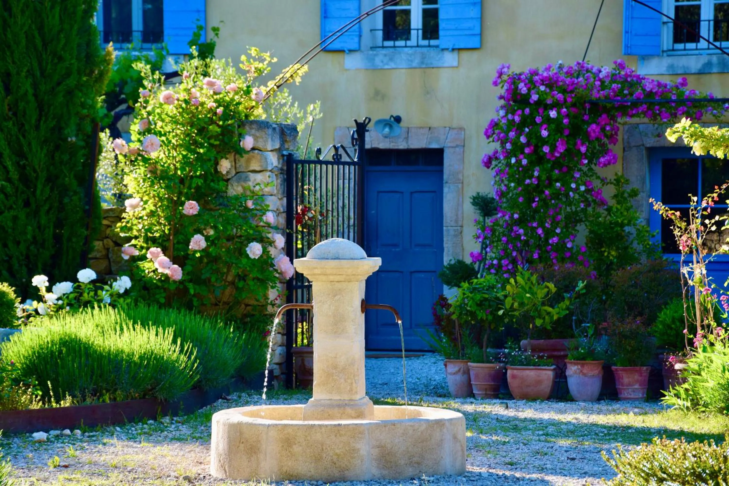 Garden view in Bastide Saint-Didier