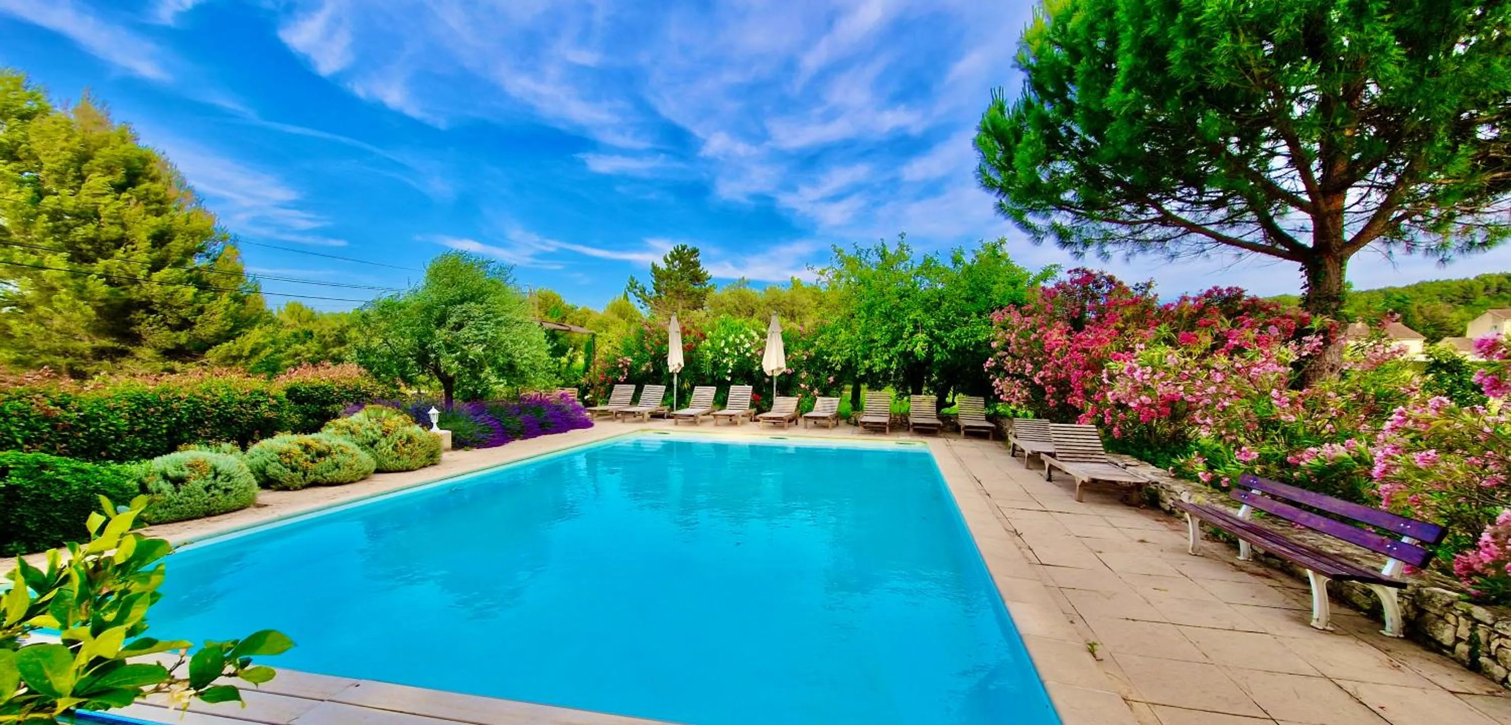Swimming pool in Bastide Saint-Didier