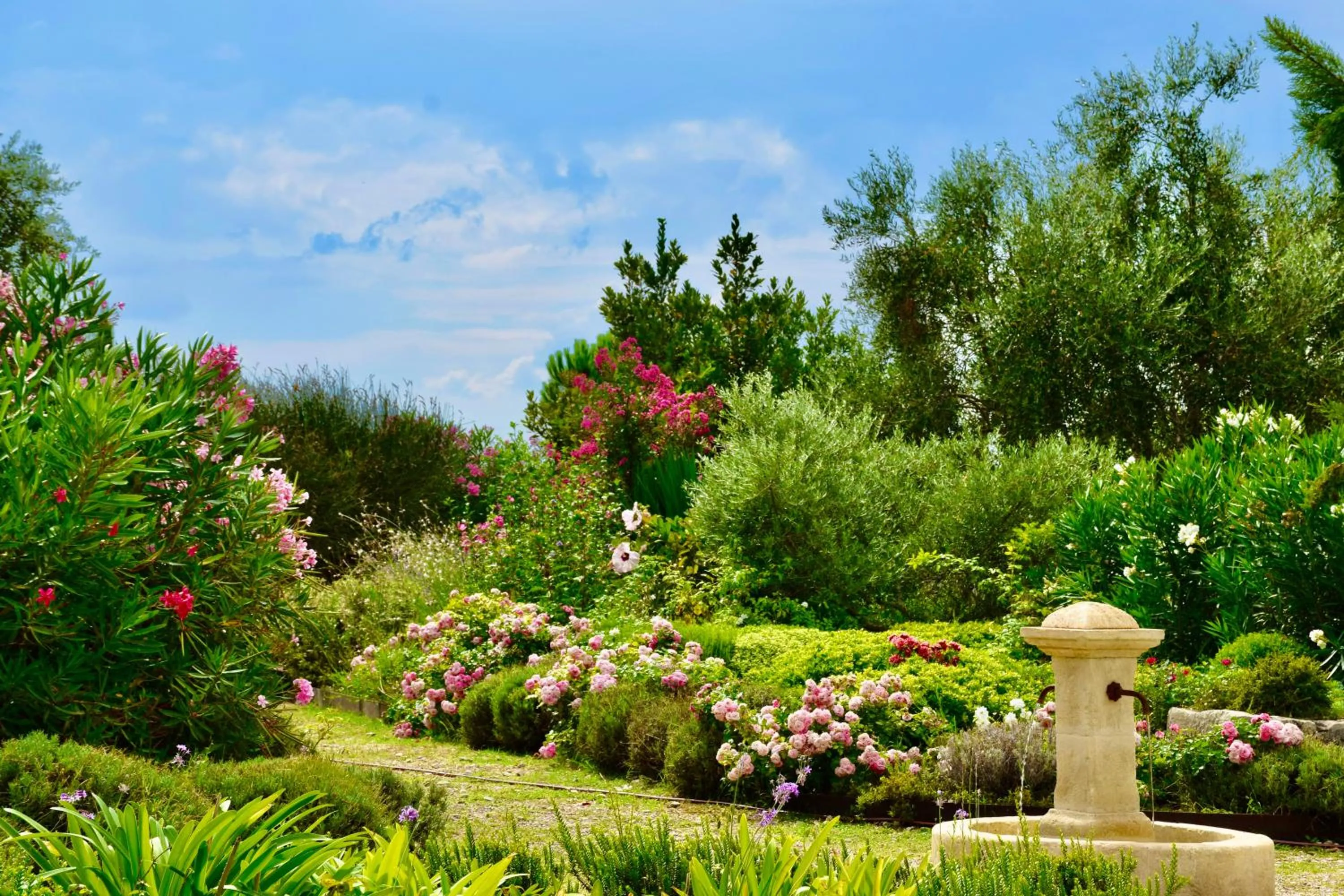 Garden view in Bastide Saint-Didier