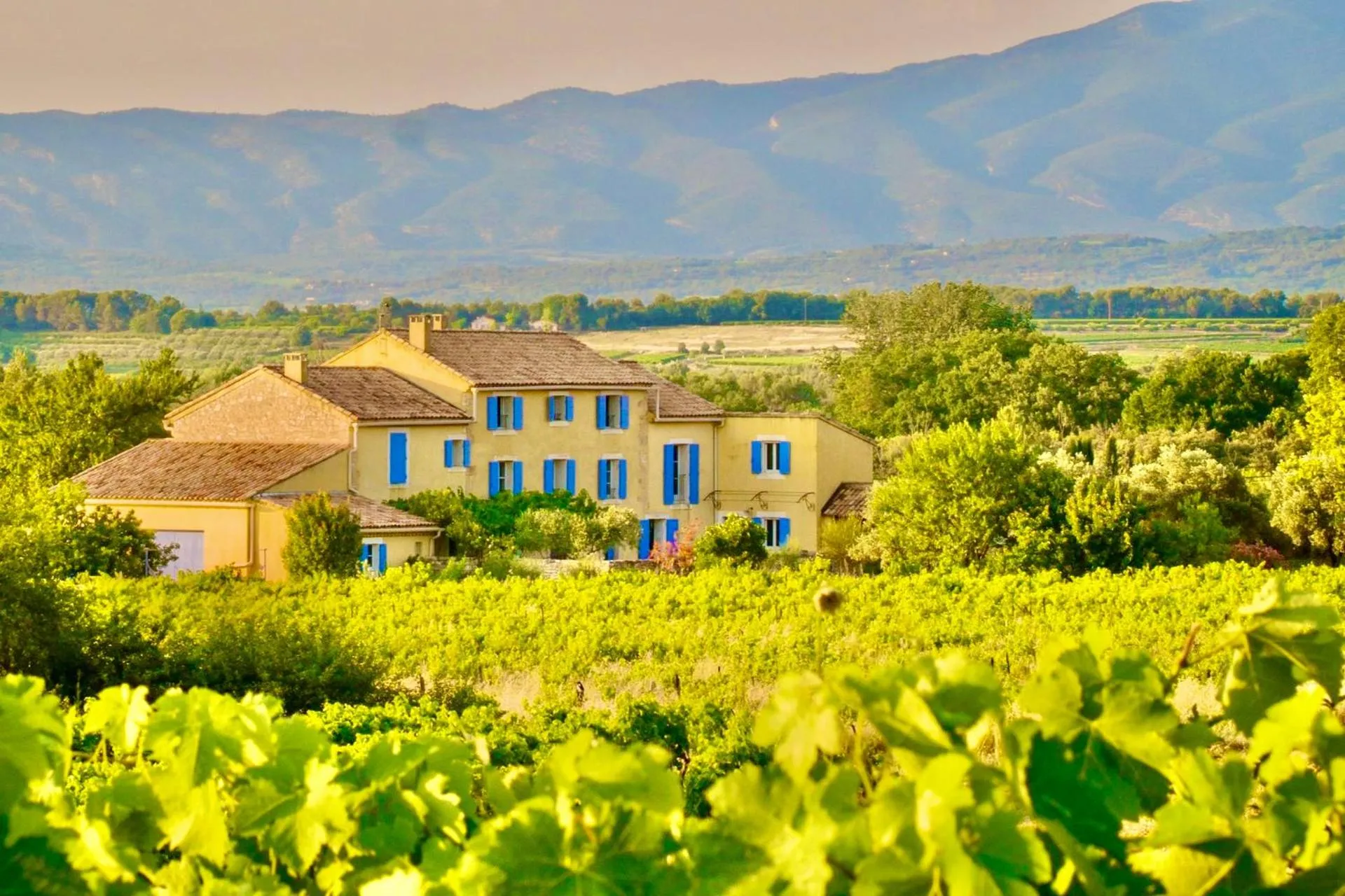 Mountain view in Bastide Saint-Didier