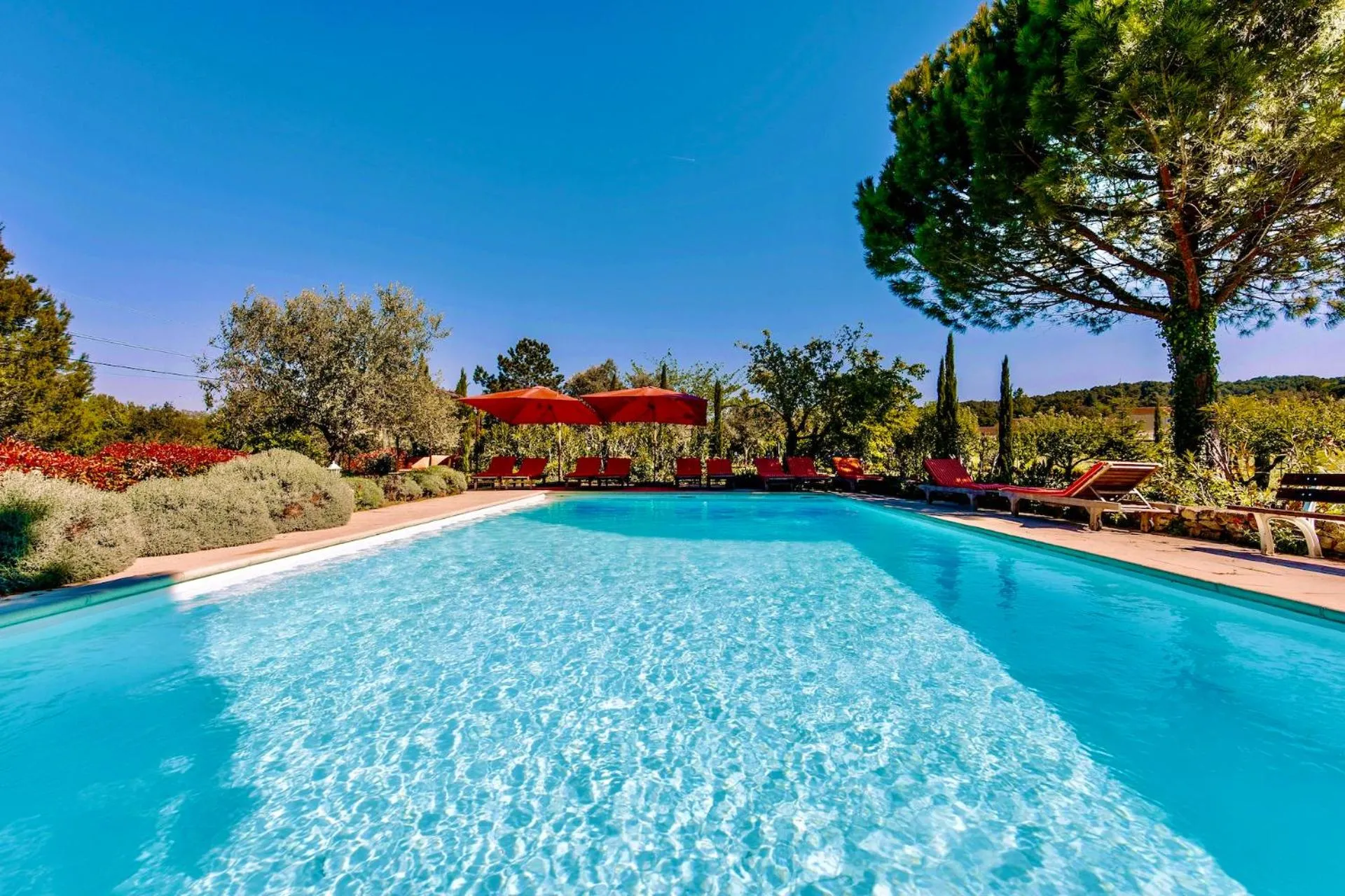Swimming pool in Bastide Saint-Didier