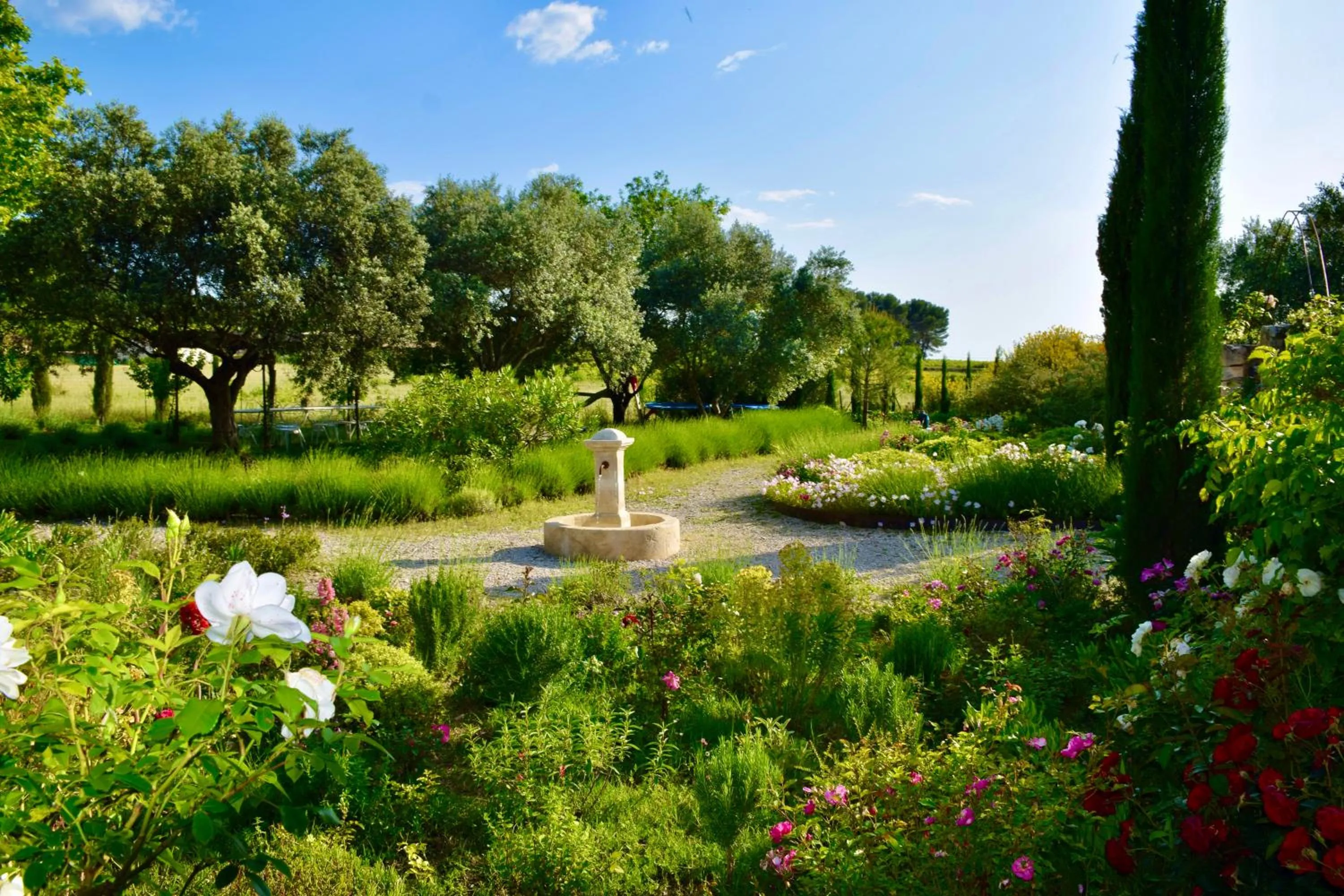 Garden in Bastide Saint-Didier