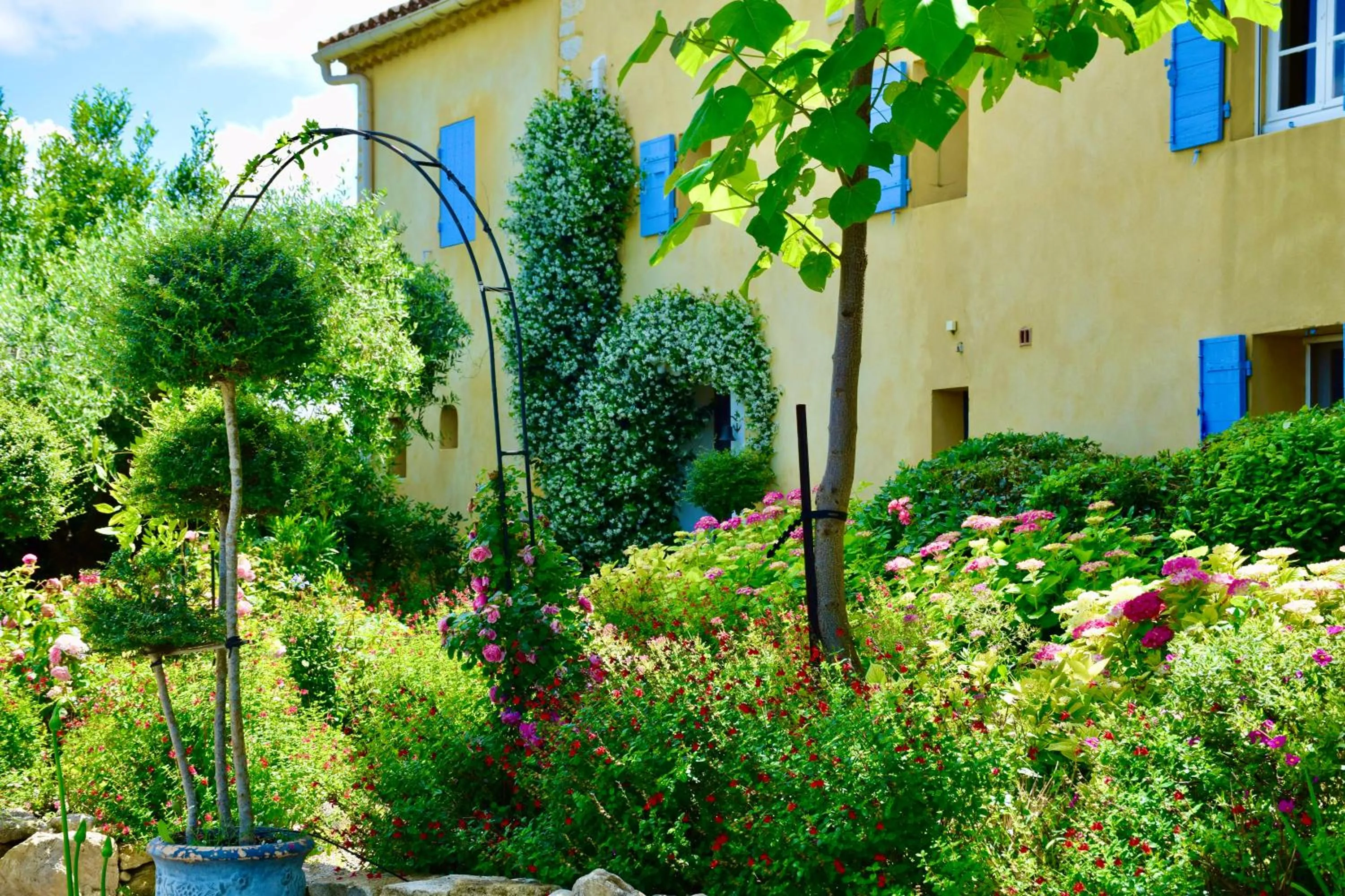 Garden in Bastide Saint-Didier
