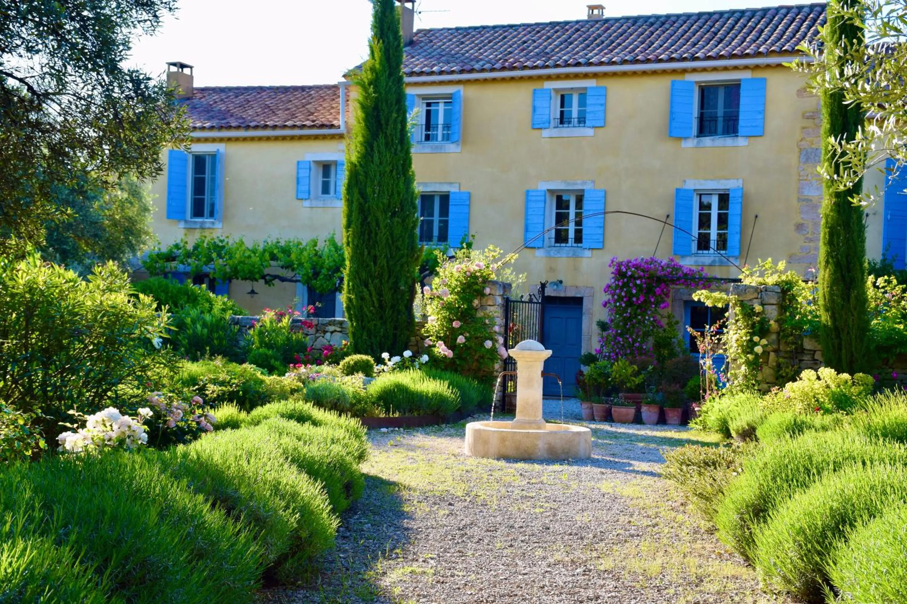 Garden in Bastide Saint-Didier