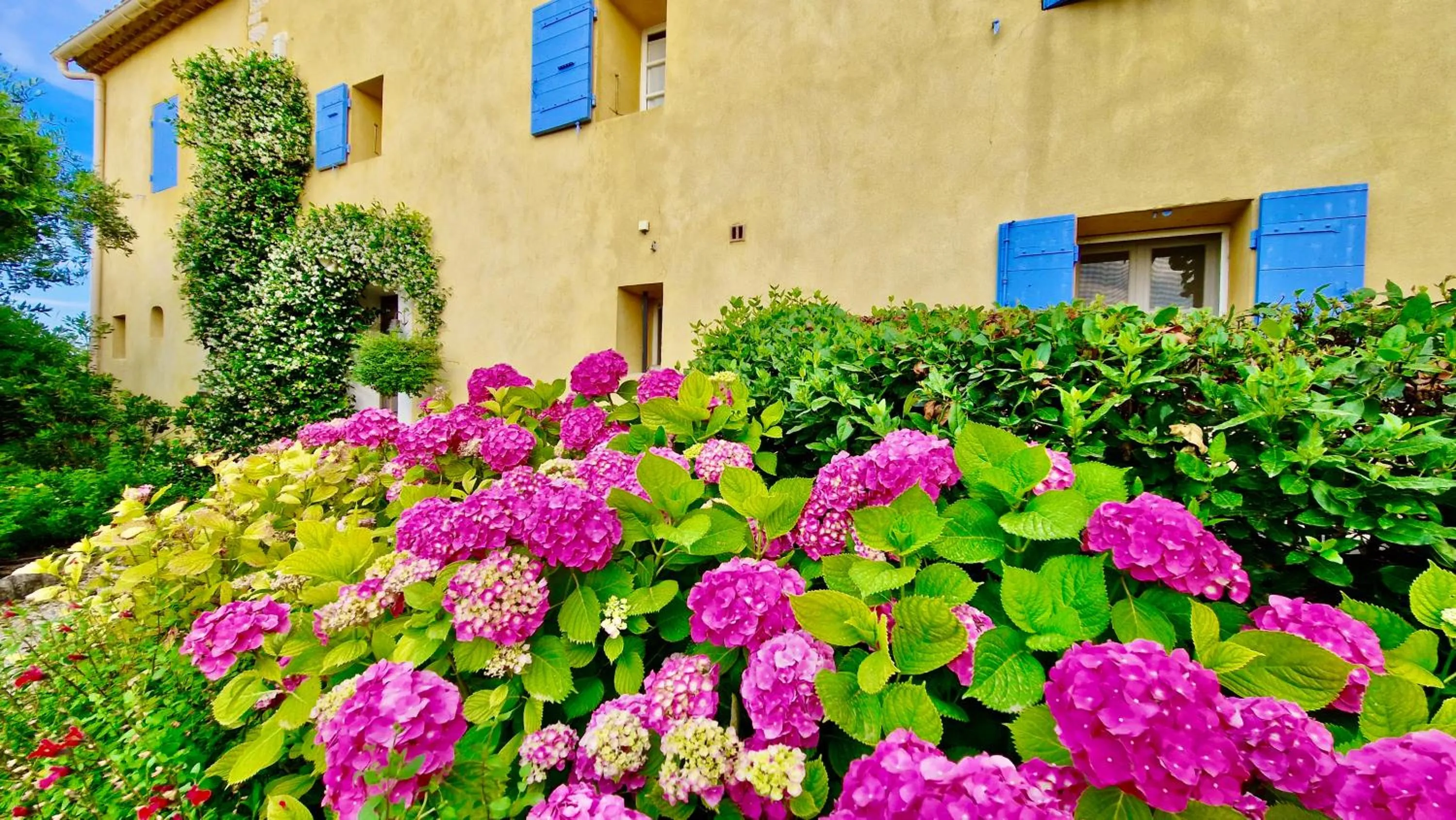 Garden in Bastide Saint-Didier