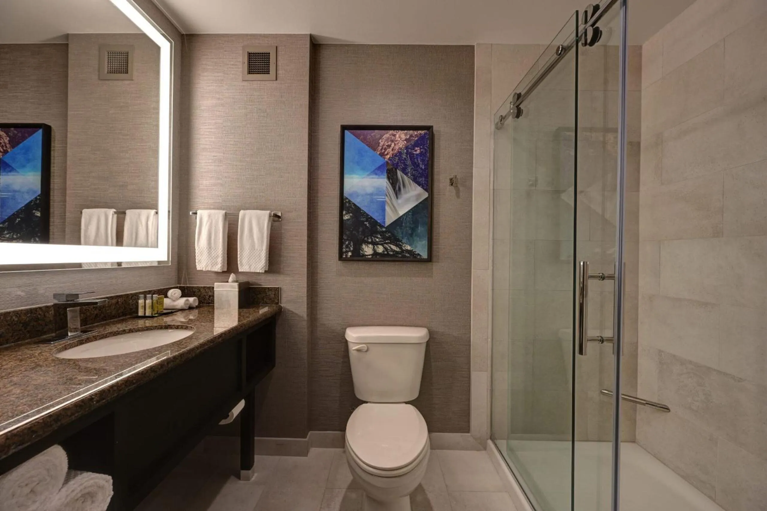 Toilet in DoubleTree by Hilton Denver International Airport, CO