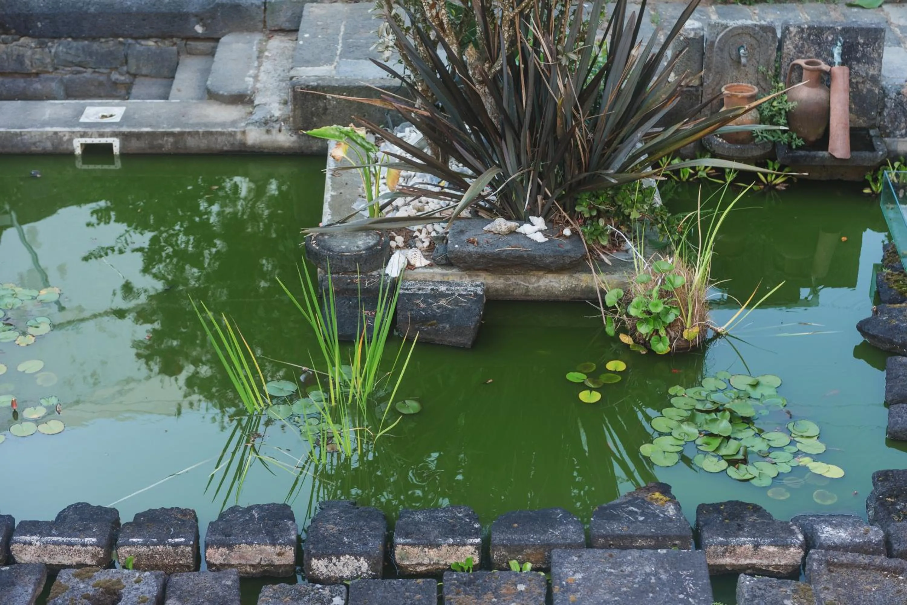 Garden view in Flor do Mar House