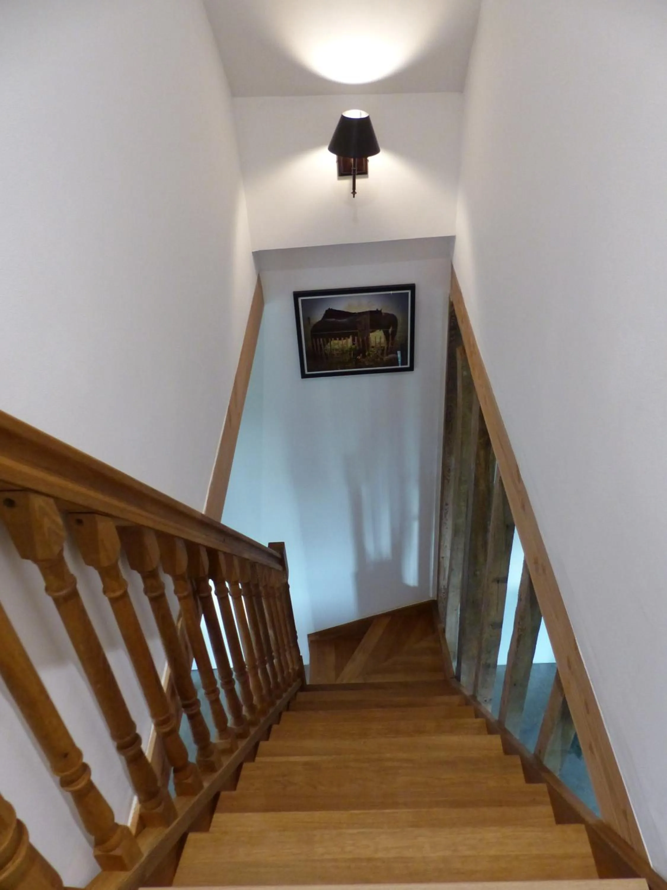 Lobby or reception in Paardenhof Guesthouse