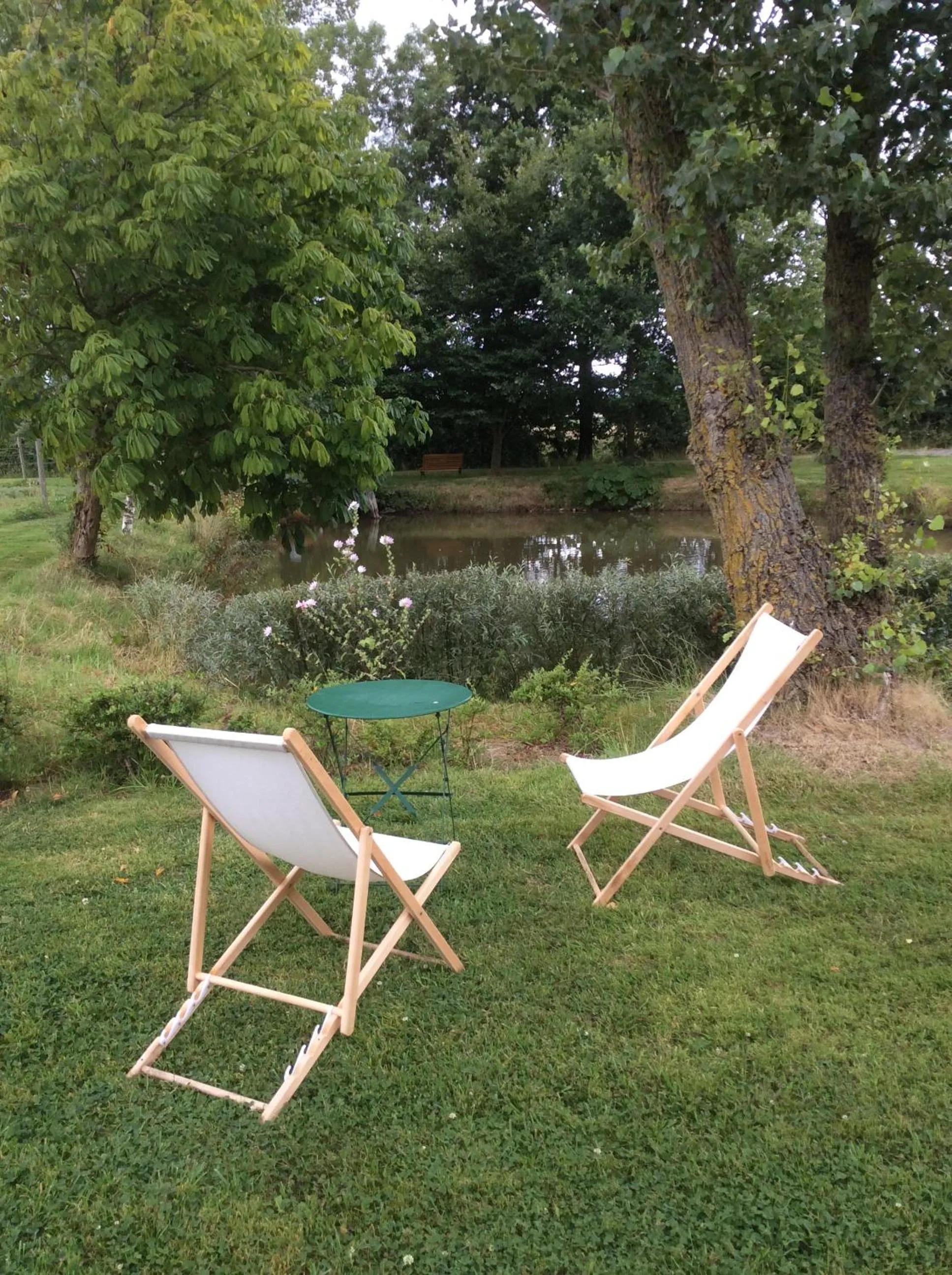 Patio in Paardenhof Guesthouse