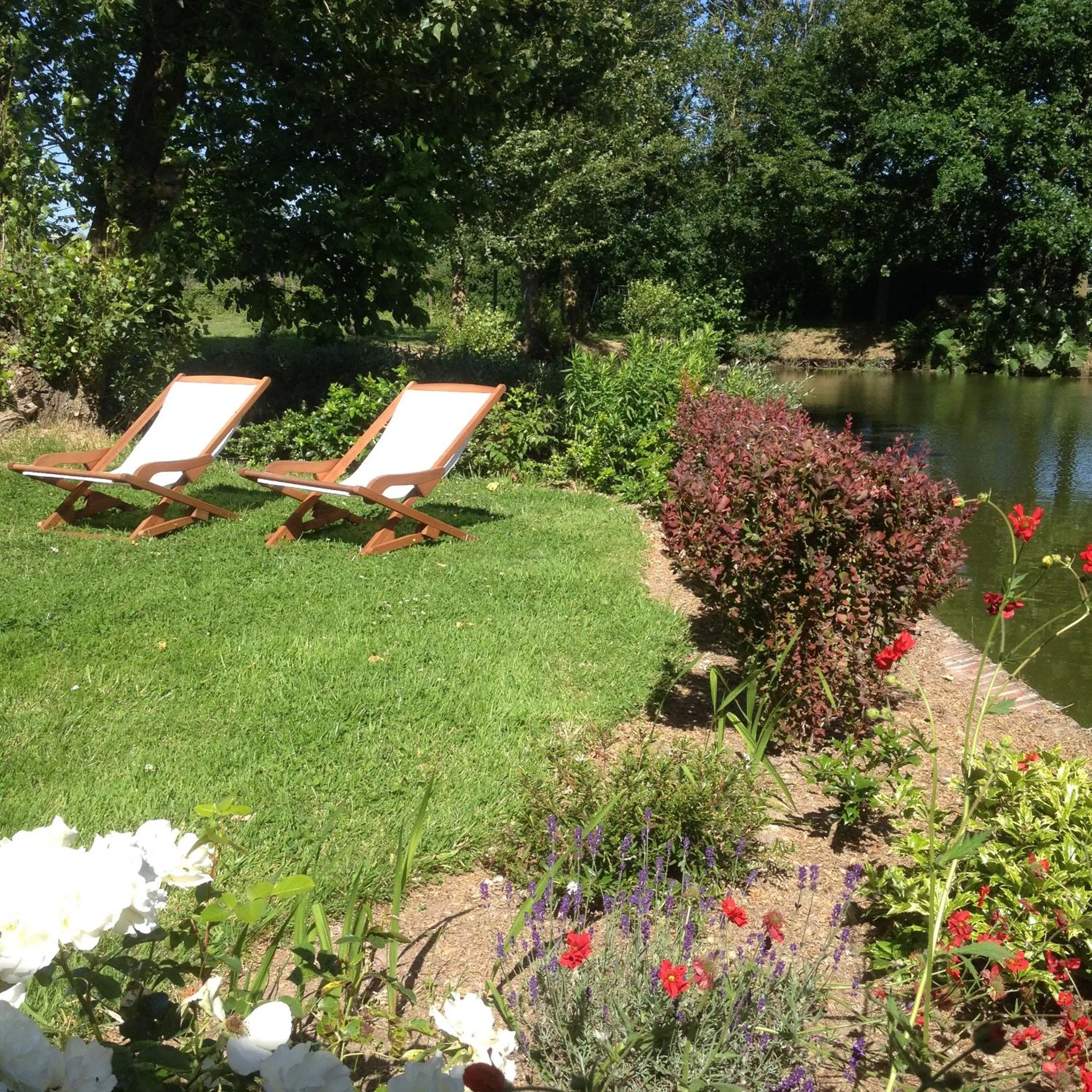 Garden in Paardenhof Guesthouse