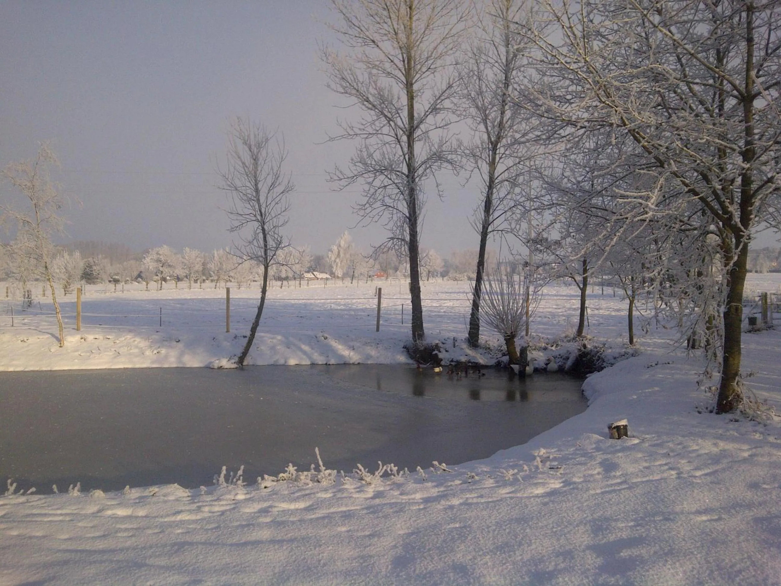 View (from property/room) in Paardenhof Guesthouse