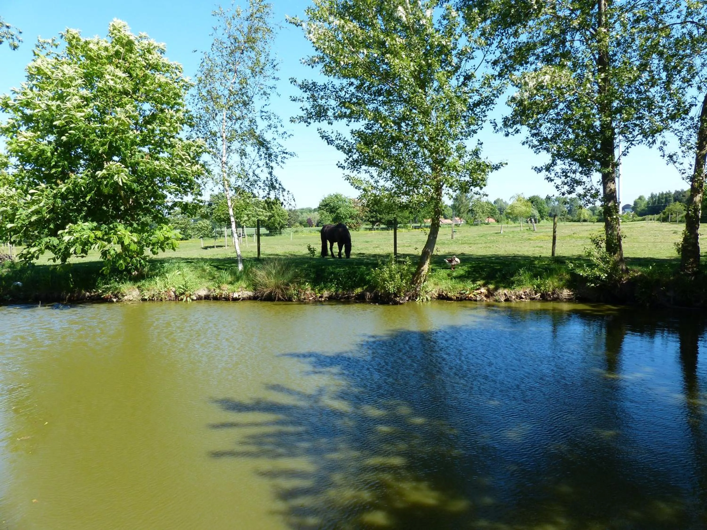 Lake view in Paardenhof Guesthouse