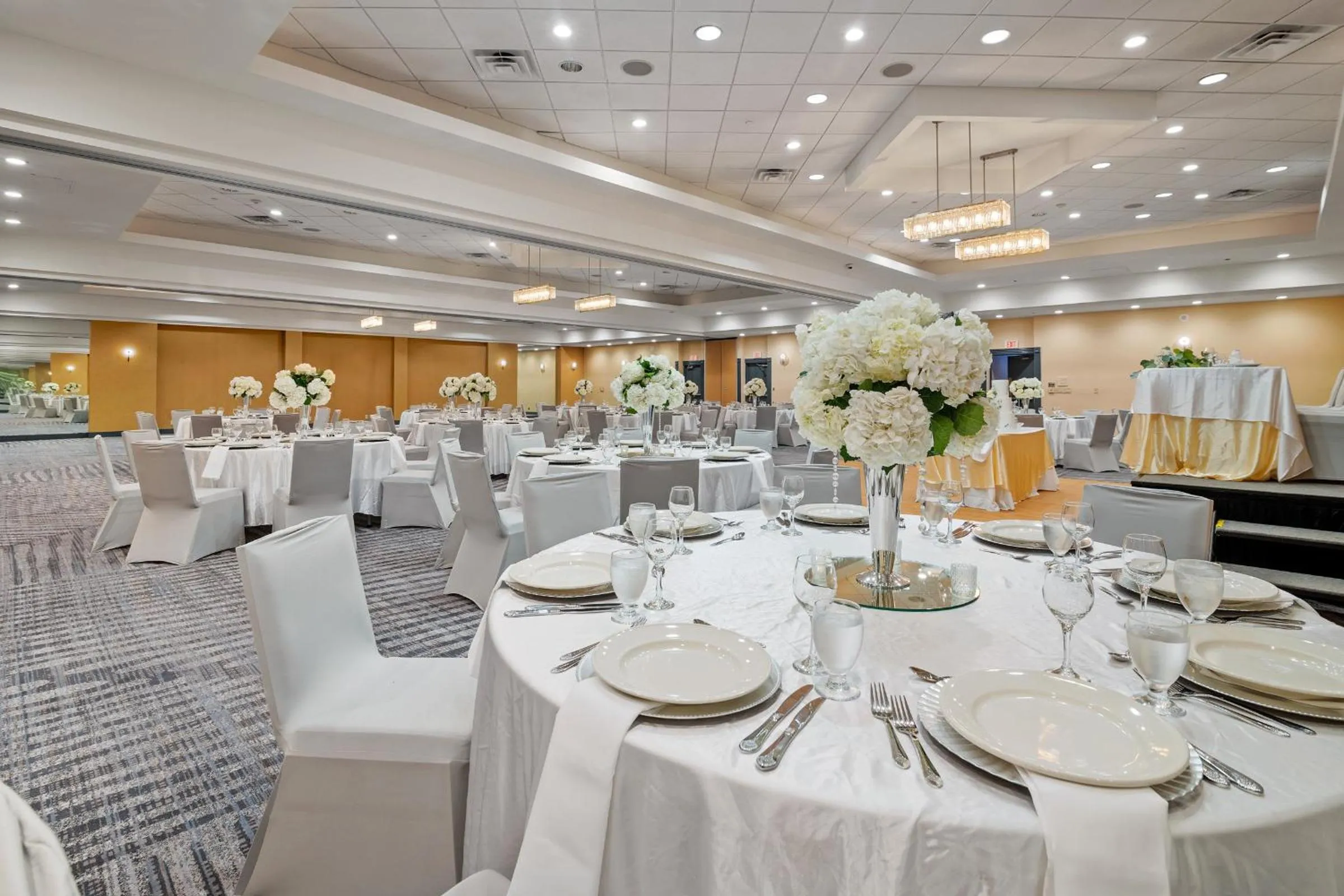 Banquet/Function facilities in Crowne Plaza Houston Med Ctr-Galleria Area by IHG