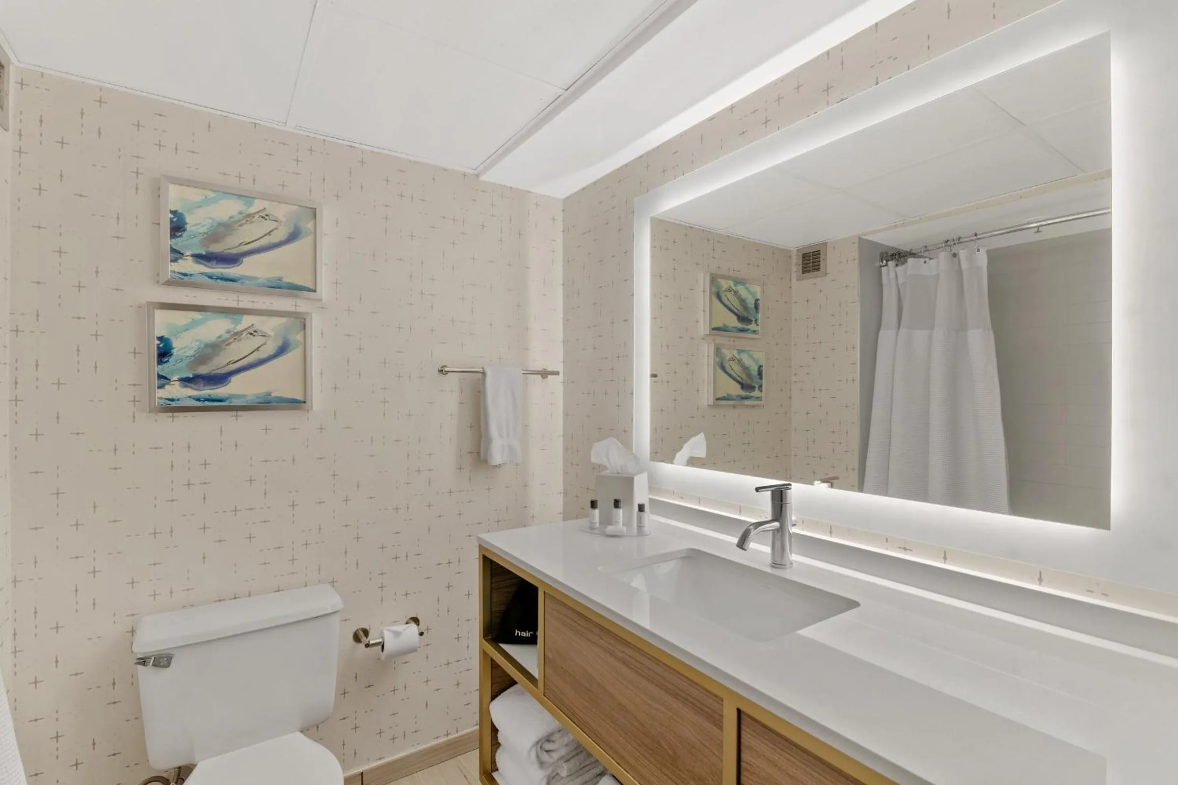 Bathroom in Crowne Plaza Houston Med Ctr-Galleria Area by IHG