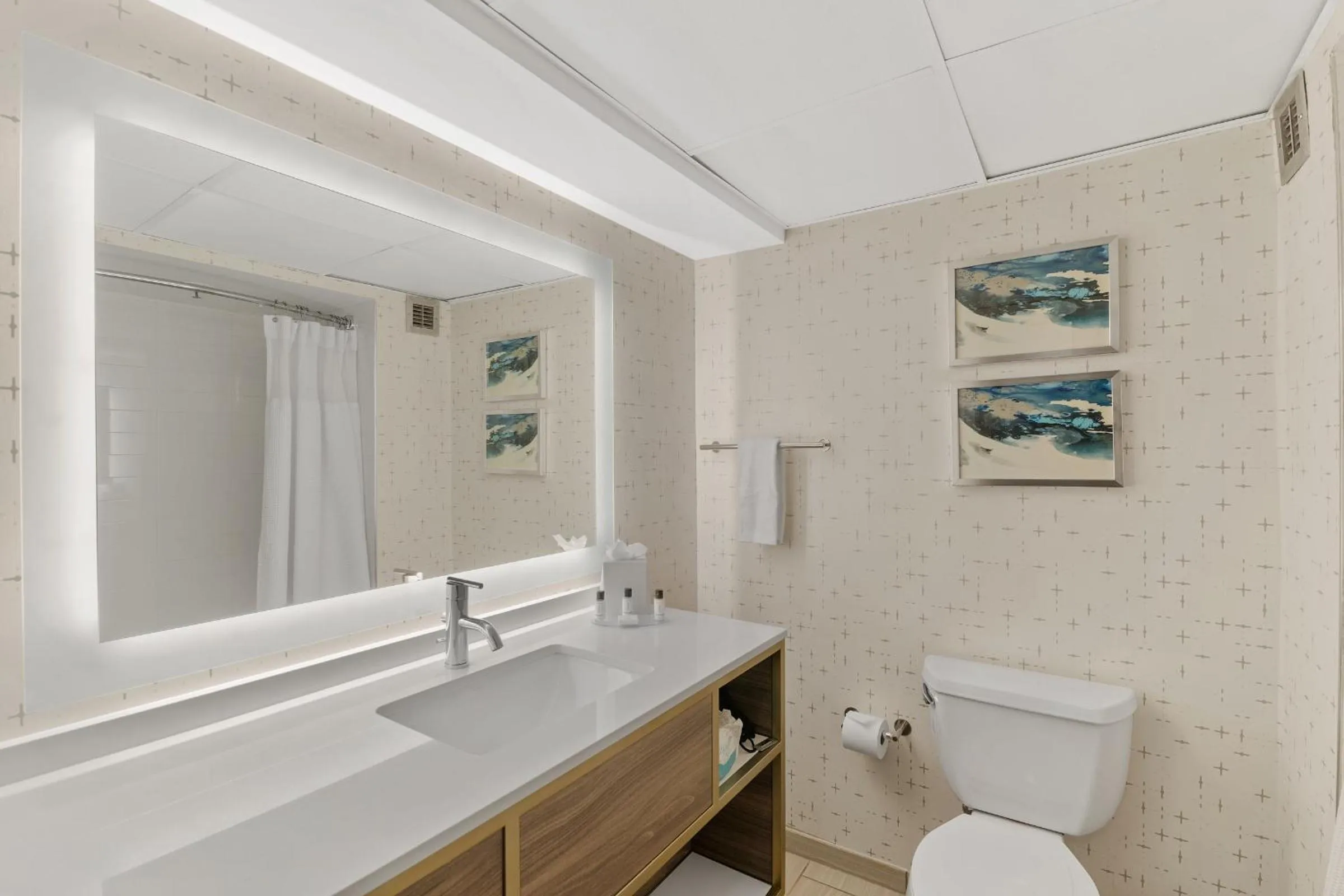 Bathroom in Crowne Plaza Houston Med Ctr-Galleria Area by IHG