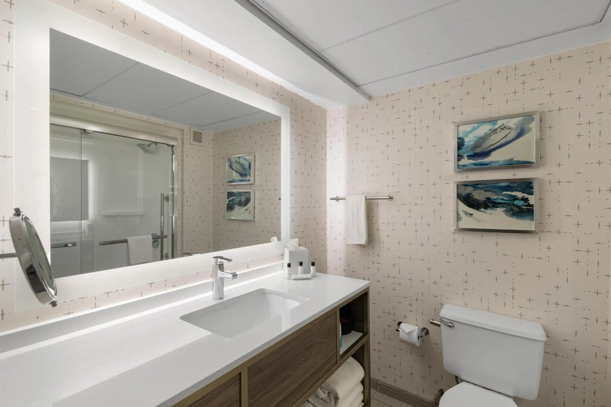 Bathroom in Crowne Plaza Houston Med Ctr-Galleria Area by IHG