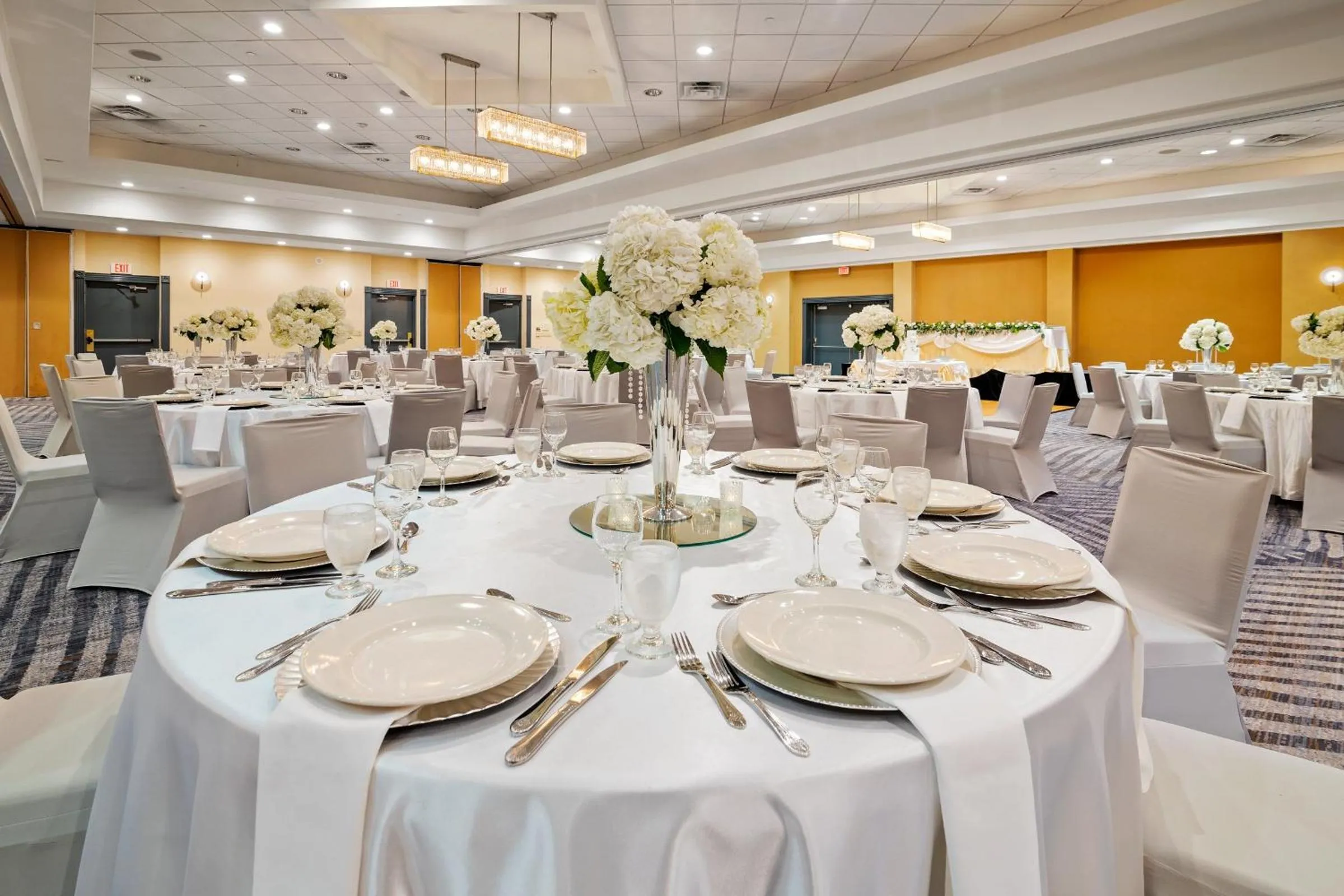 Banquet/Function facilities in Crowne Plaza Houston Med Ctr-Galleria Area by IHG