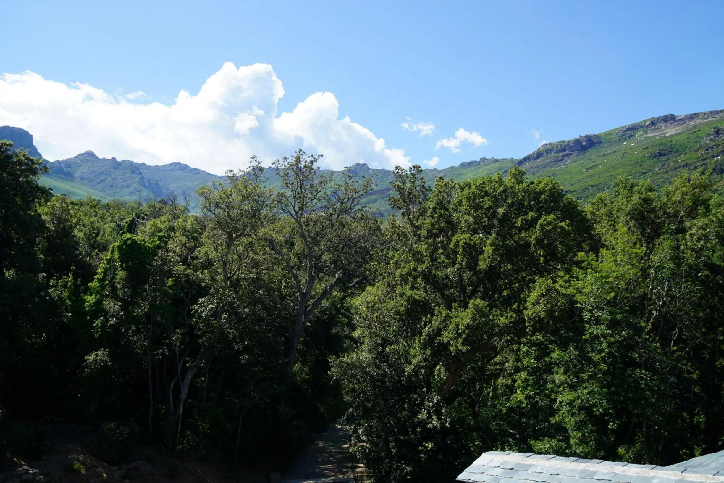 Balcony/Terrace in Suites in Erbalunga