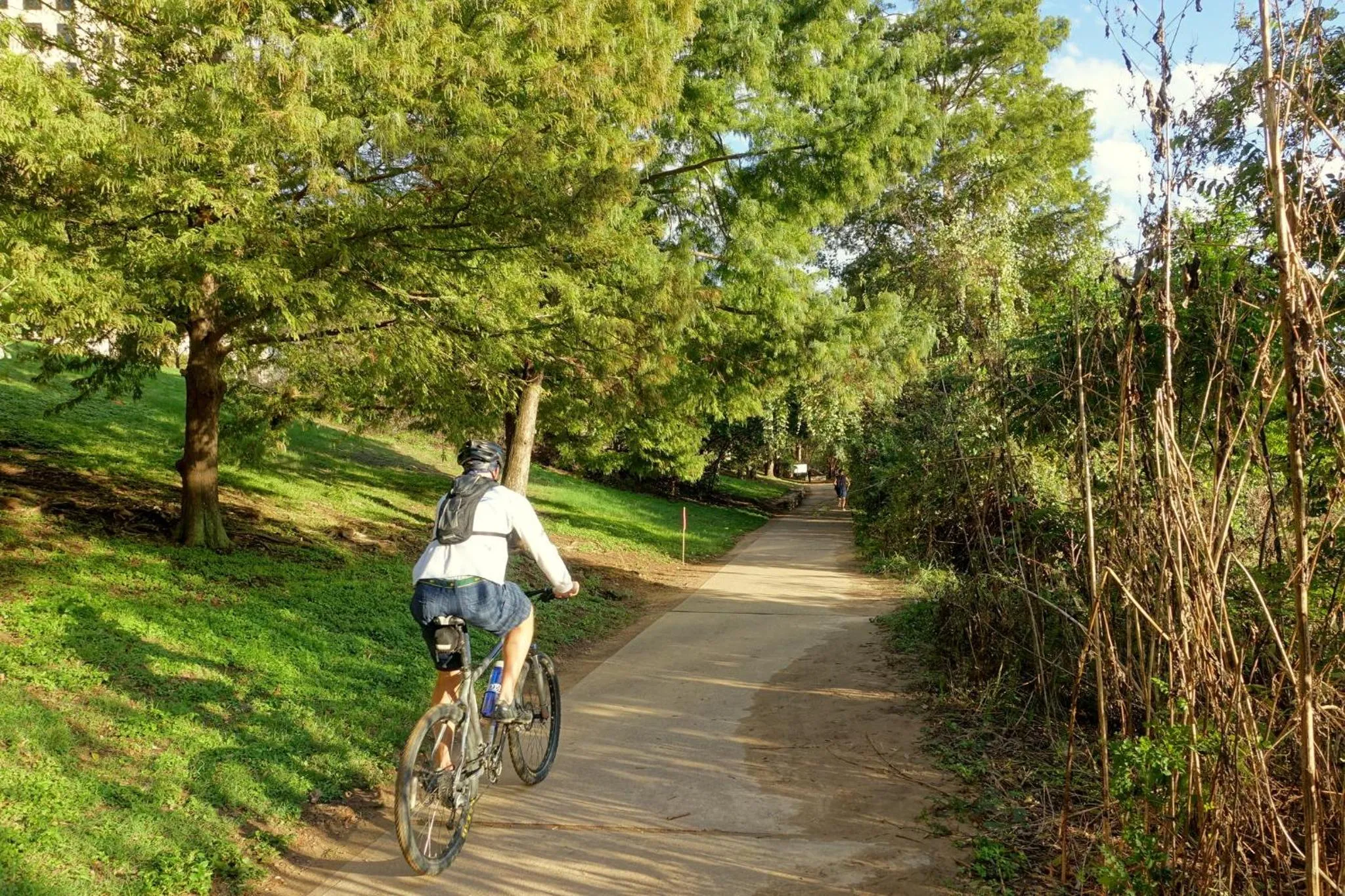 Nearby landmark in Holiday Inn Austin -Town Lake by IHG