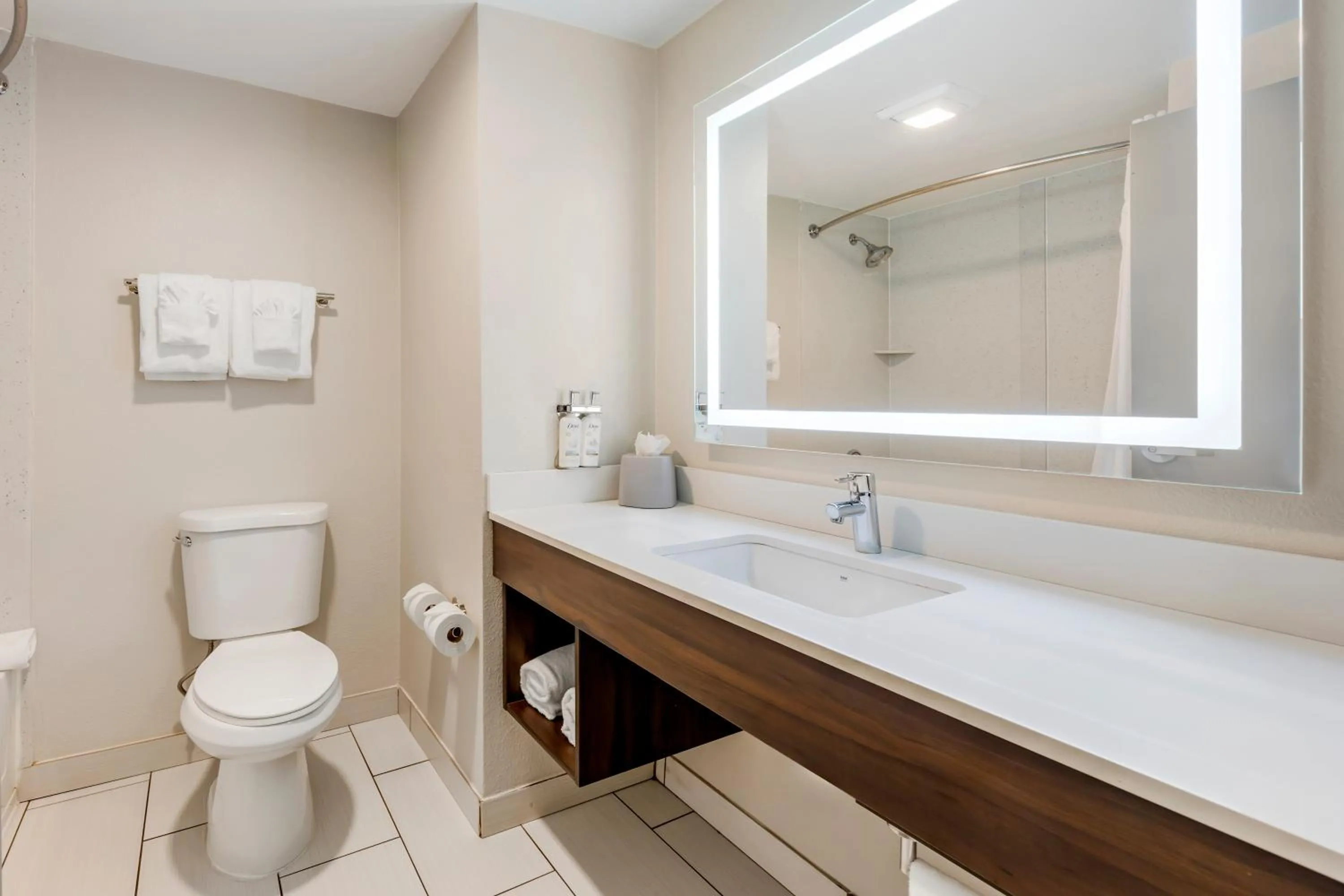 Holiday Inn Express & Suites Nashville Southeast - Antioch by IHG