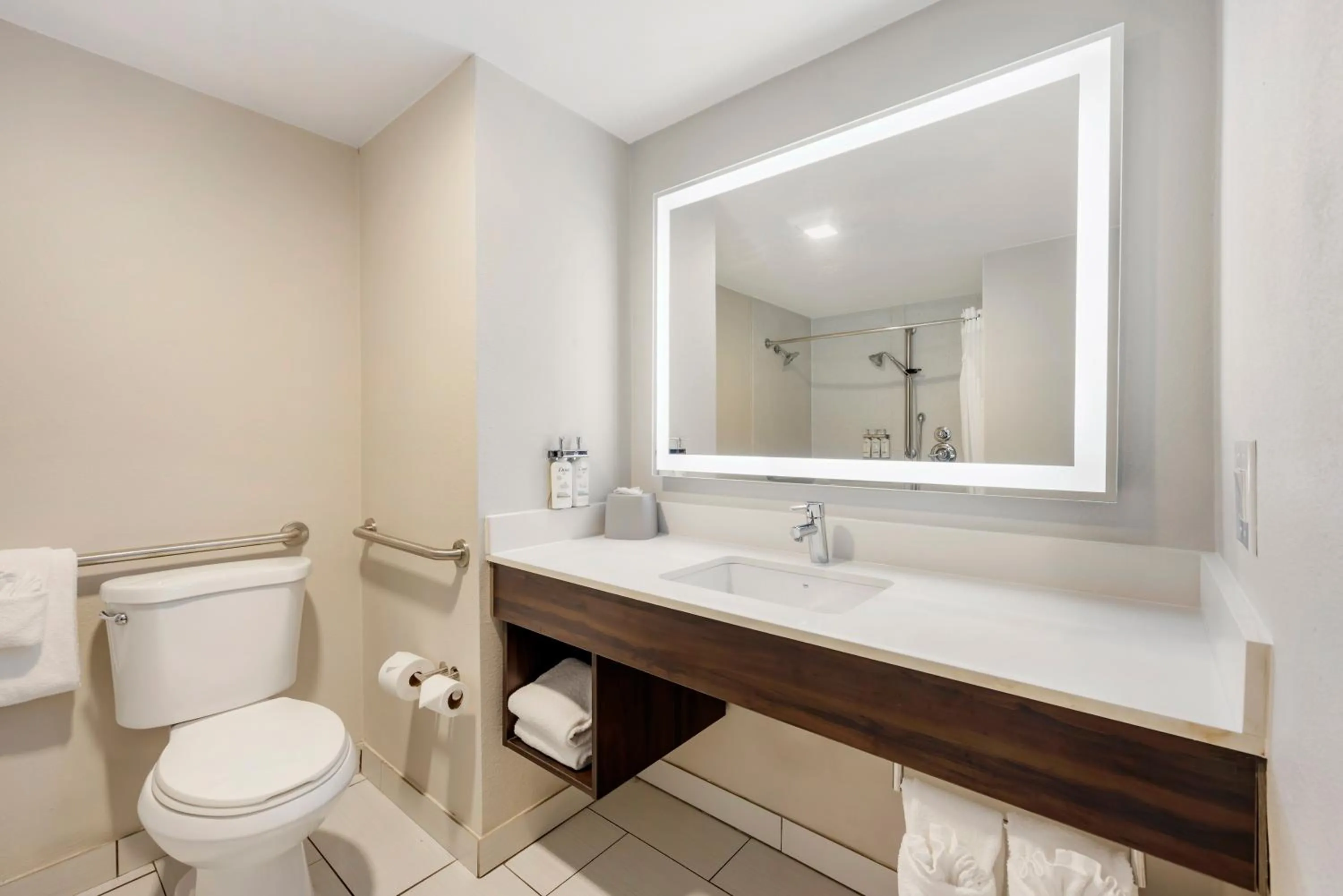 Holiday Inn Express & Suites Nashville Southeast - Antioch by IHG