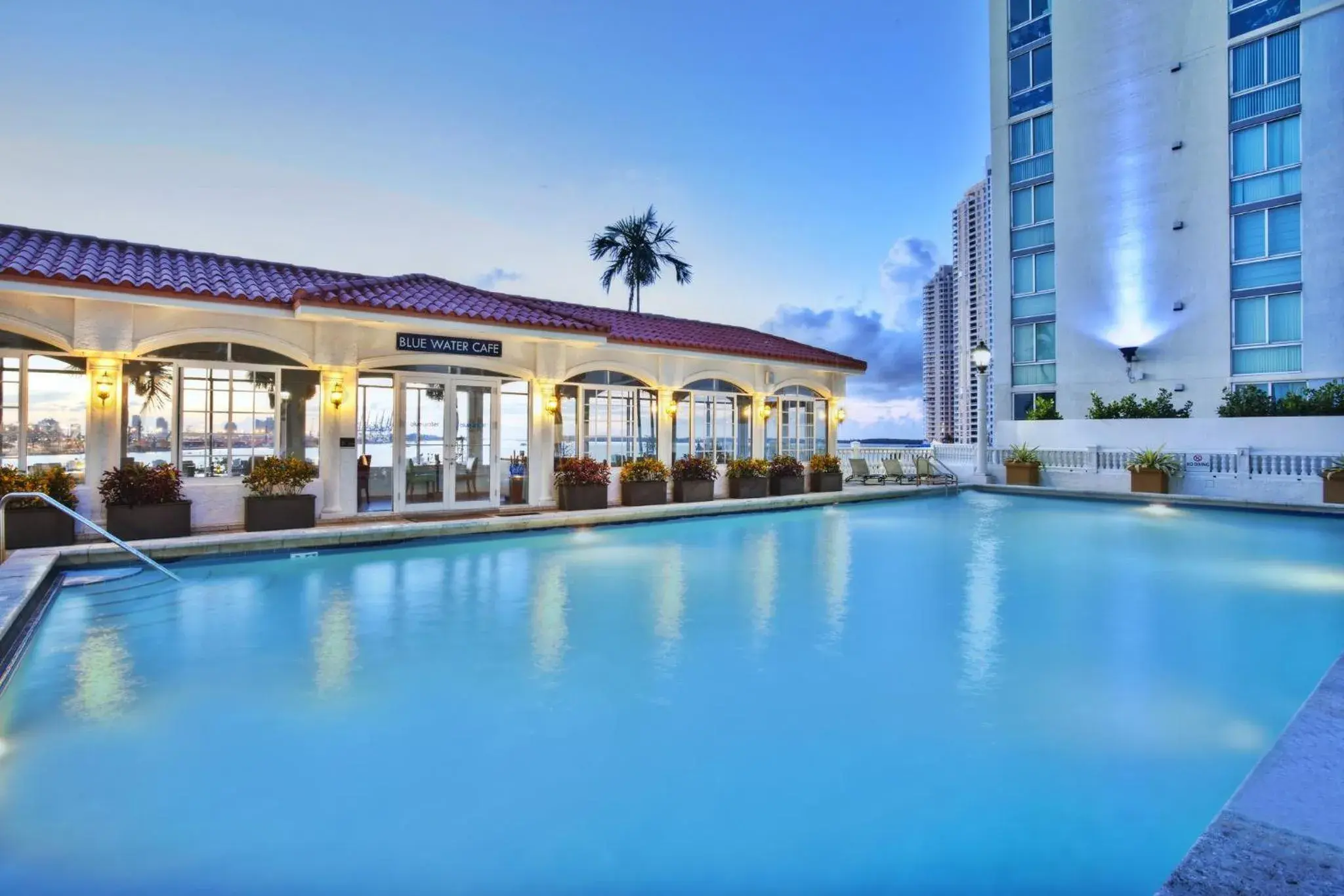 Swimming pool in InterContinental Miami by IHG Swimming pool in InterContinental Miami by IHG