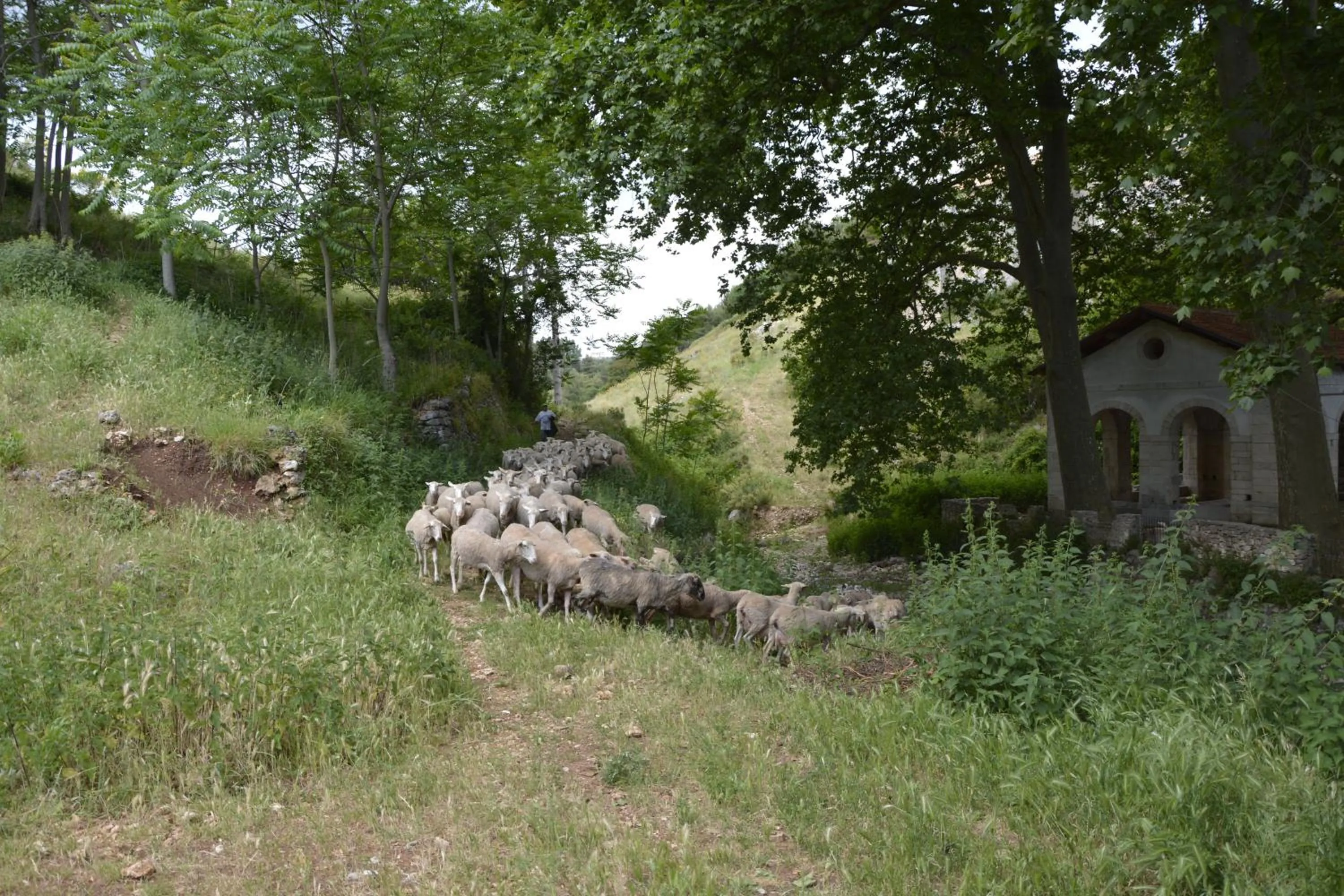 On site in GarganoMareBorghi ospitalità diffusa