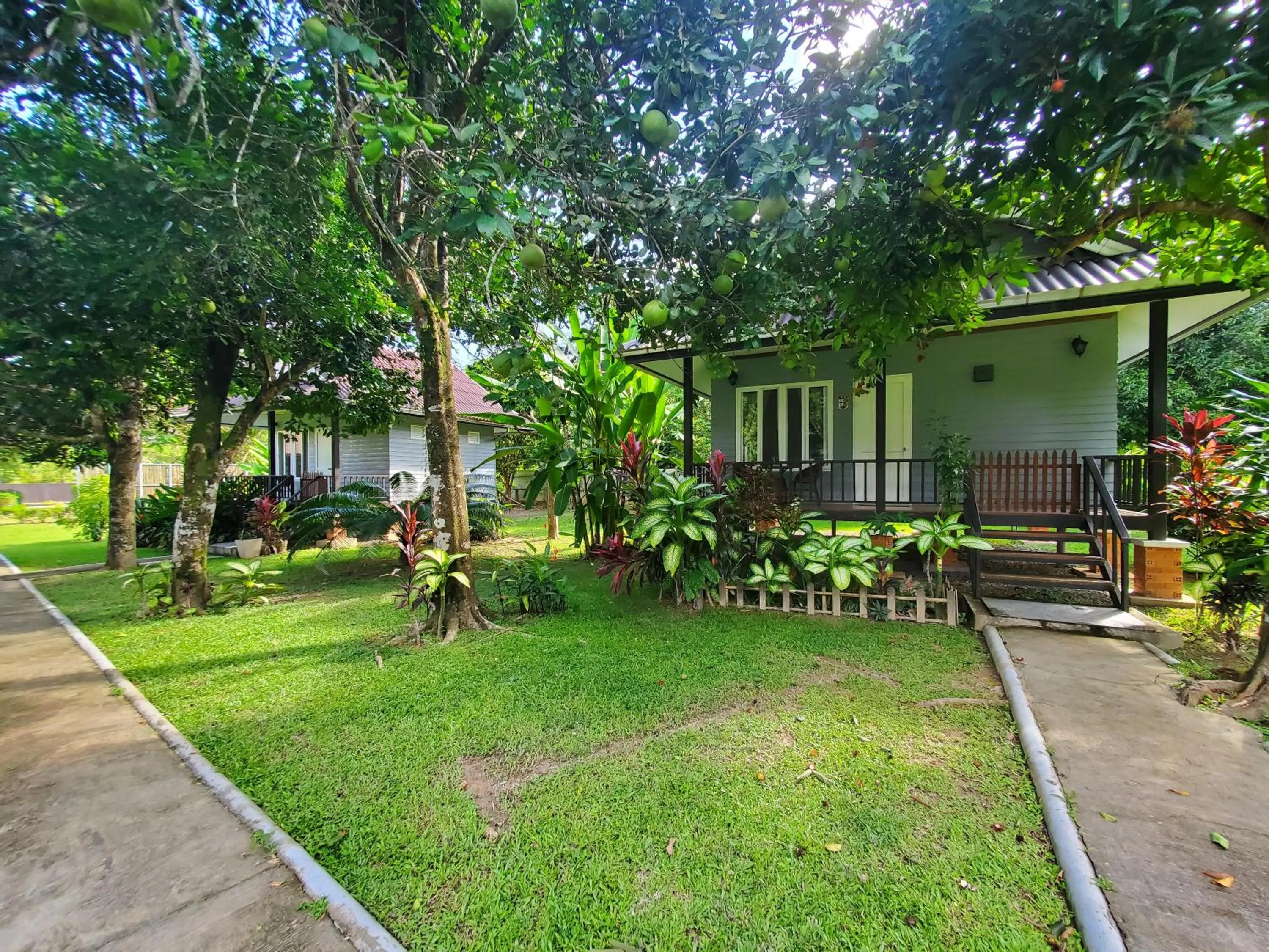 Balcony/Terrace in Bearlinbungalow