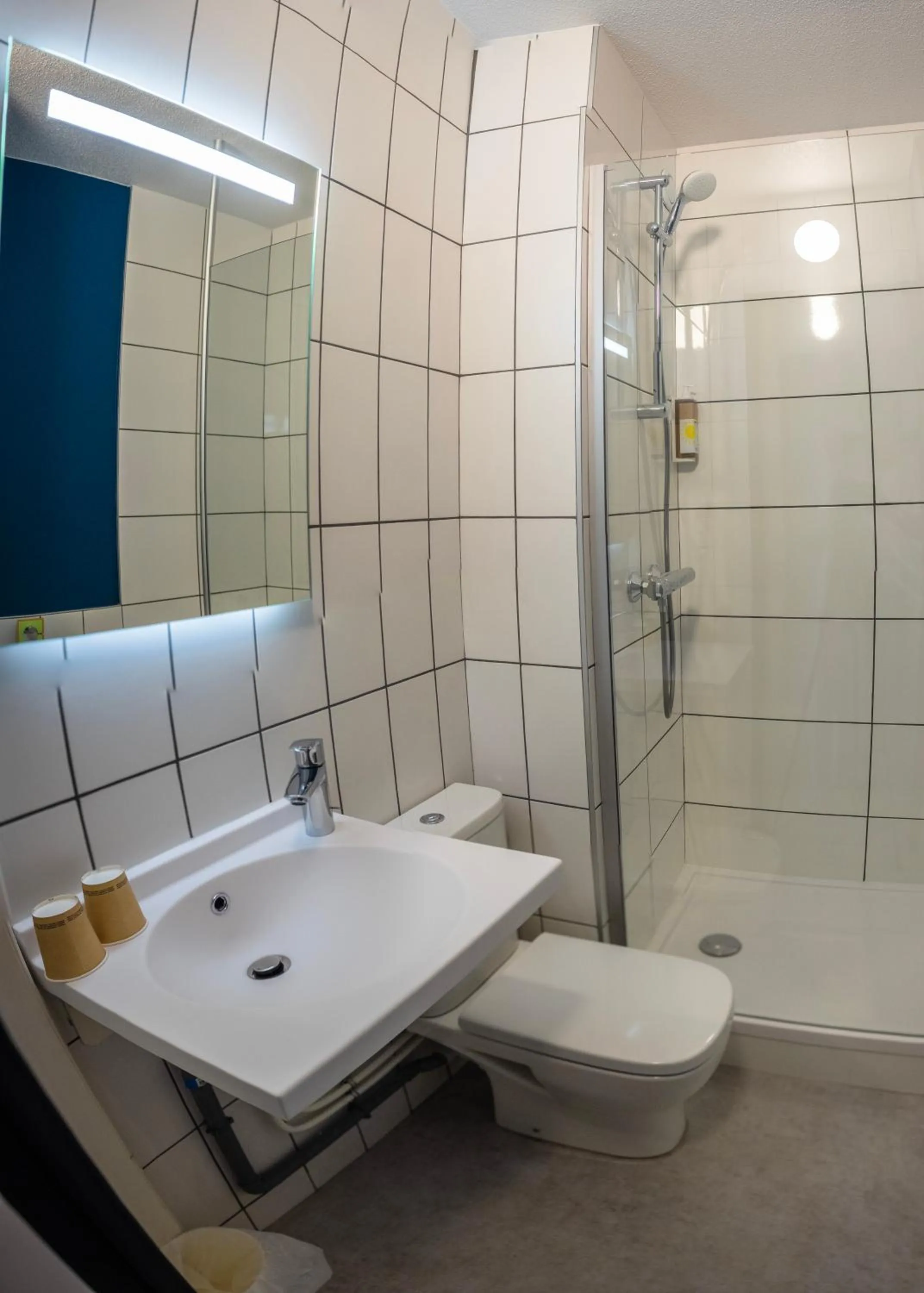 Bathroom in Hôtel Restaurant Relais Vert - Montbeliard