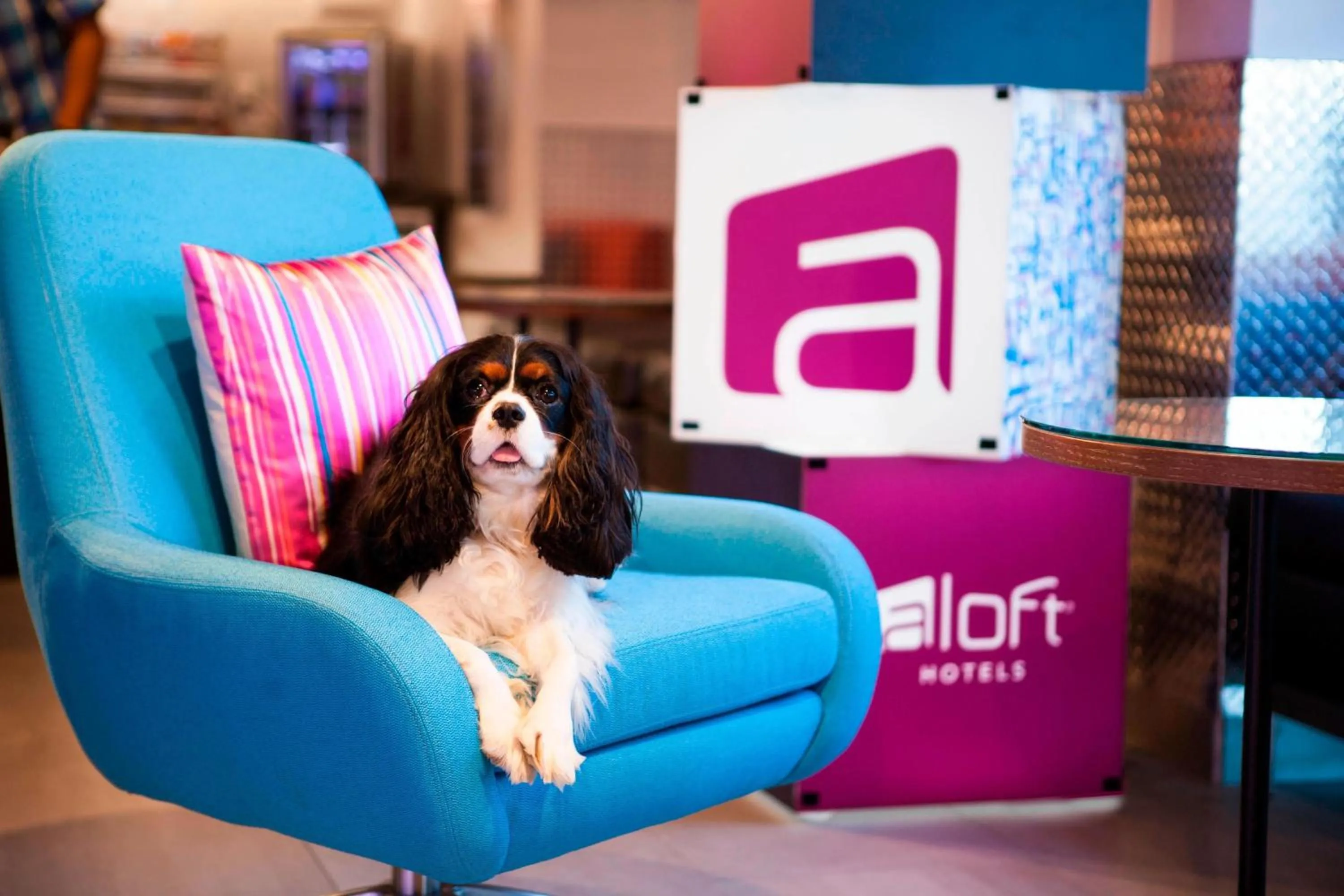 Lounge or bar in Aloft Miami Dadeland