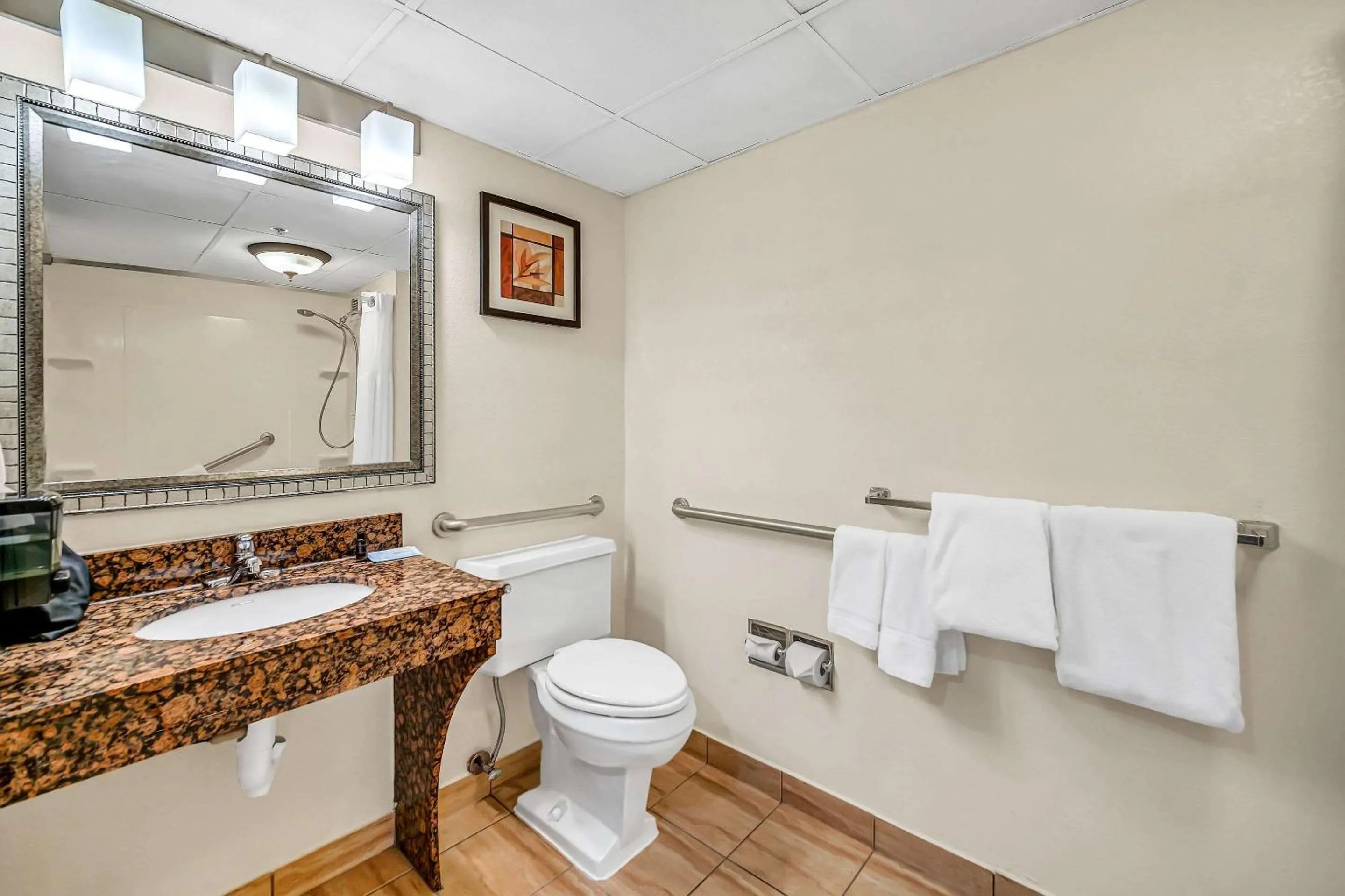 Bedroom in Radisson Hotel Schaumburg