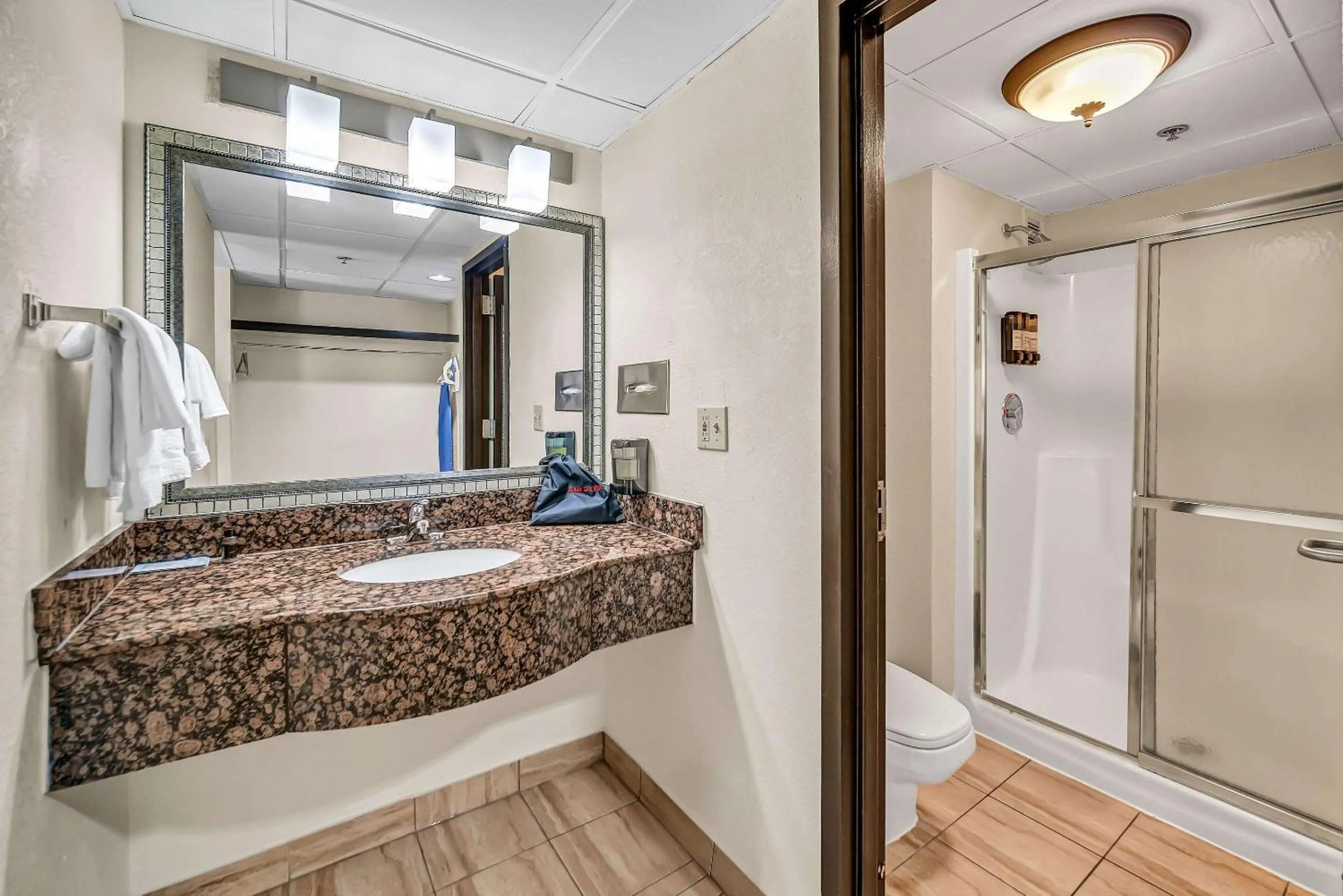 Bedroom in Radisson Hotel Schaumburg