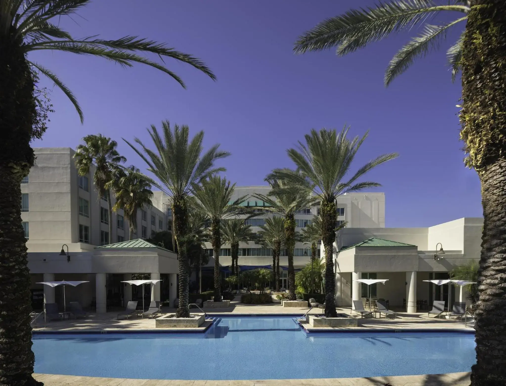 Swimming pool in InterContinental At Doral Miami by IHG Swimming pool in InterContinental At Doral Miami by IHG