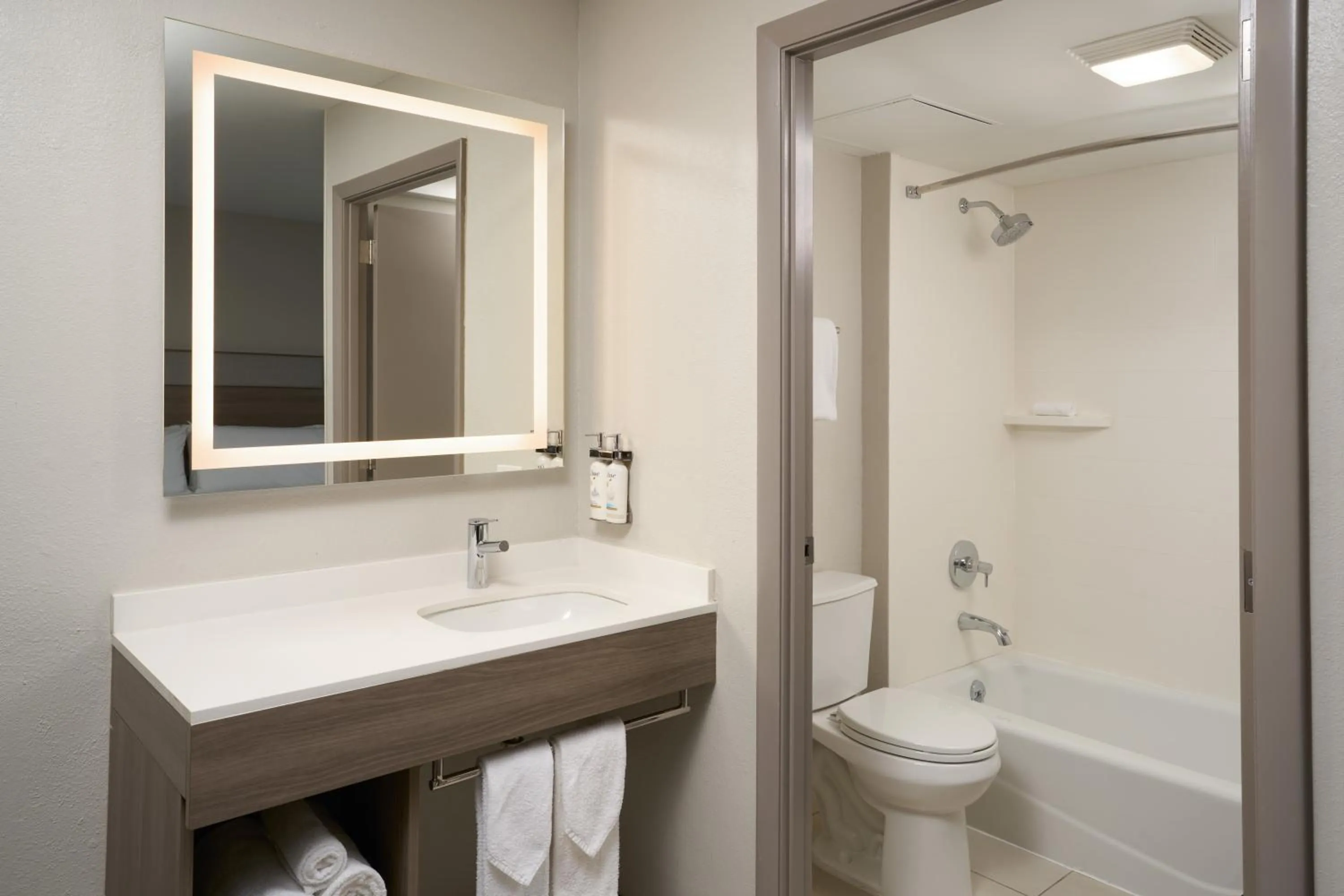 Bathroom in Holiday Inn Express Hotel & Suites Kendall East-Miami by IHG